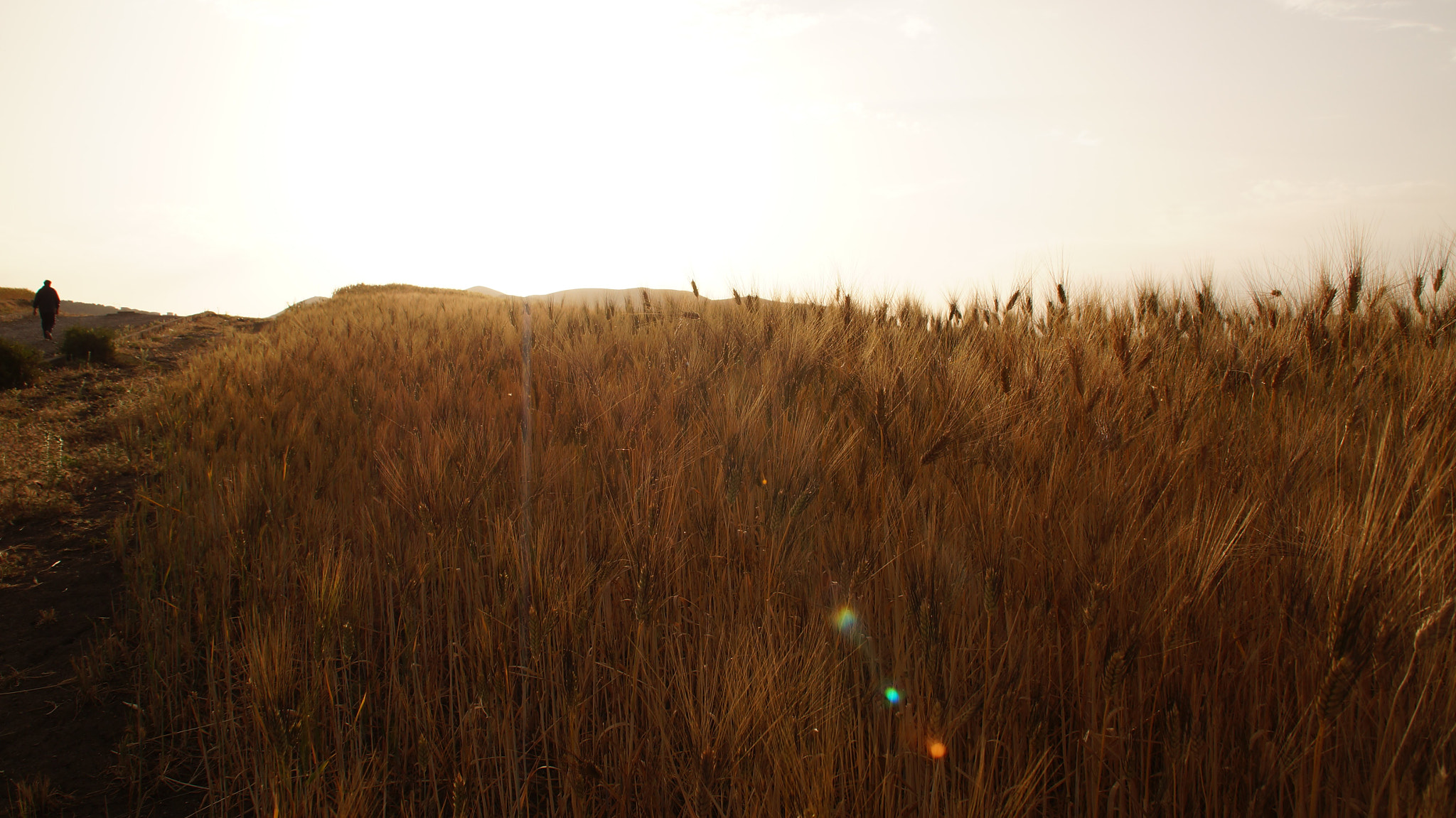 Sony SLT-A37 sample photo. Glodness photography