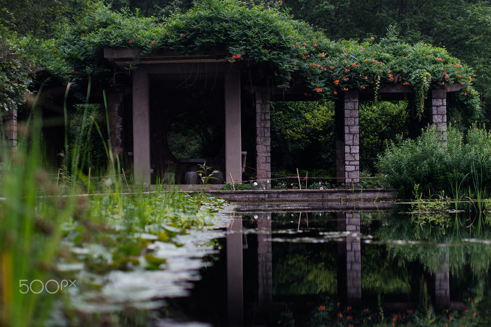 Nikon D5300 + Sigma 50mm F1.4 EX DG HSM sample photo. Summer sleeping water pool photography