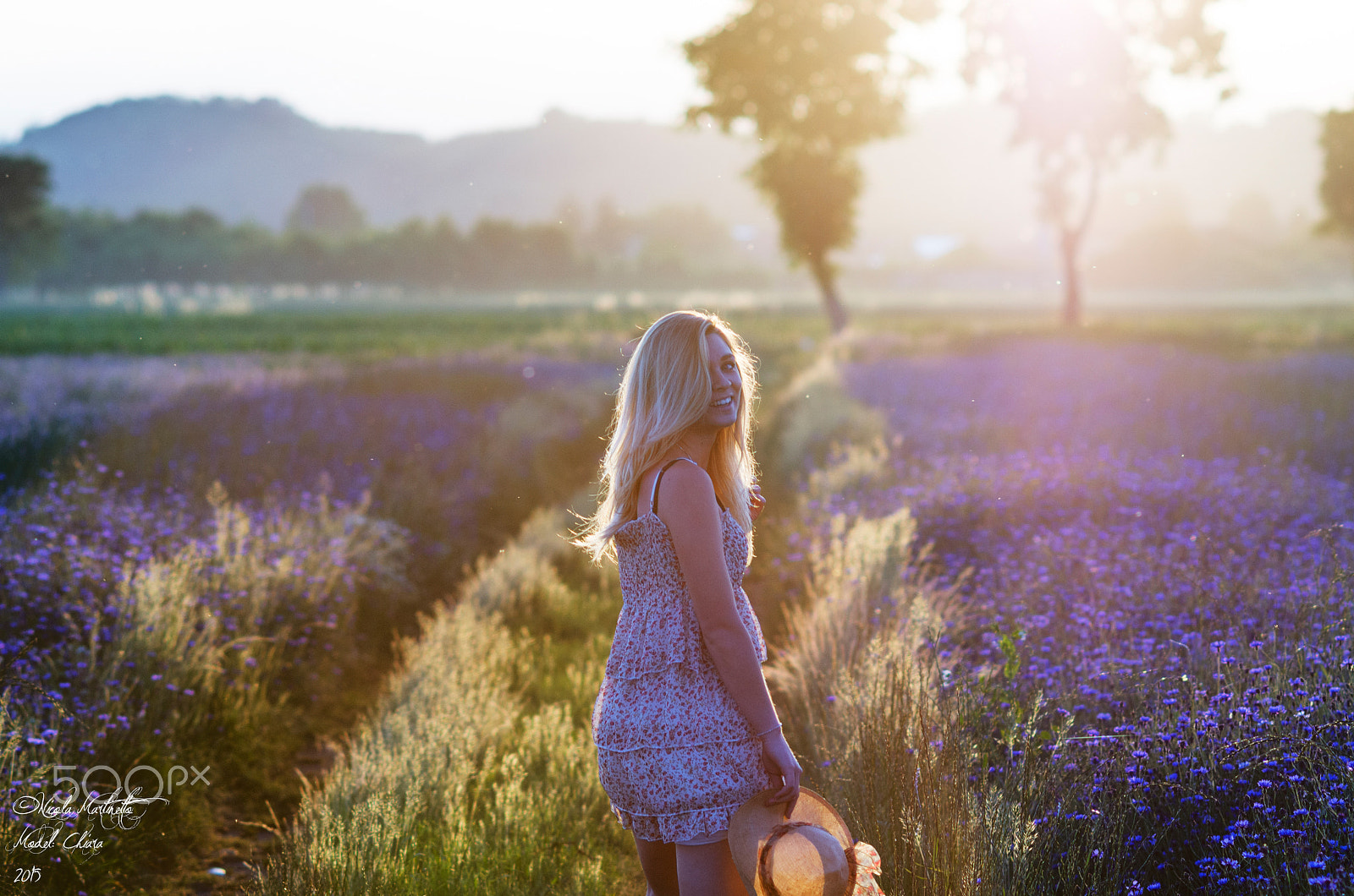 Nikon D7000 + AF DC-Nikkor 135mm f/2D sample photo. Cornflower sunset photography
