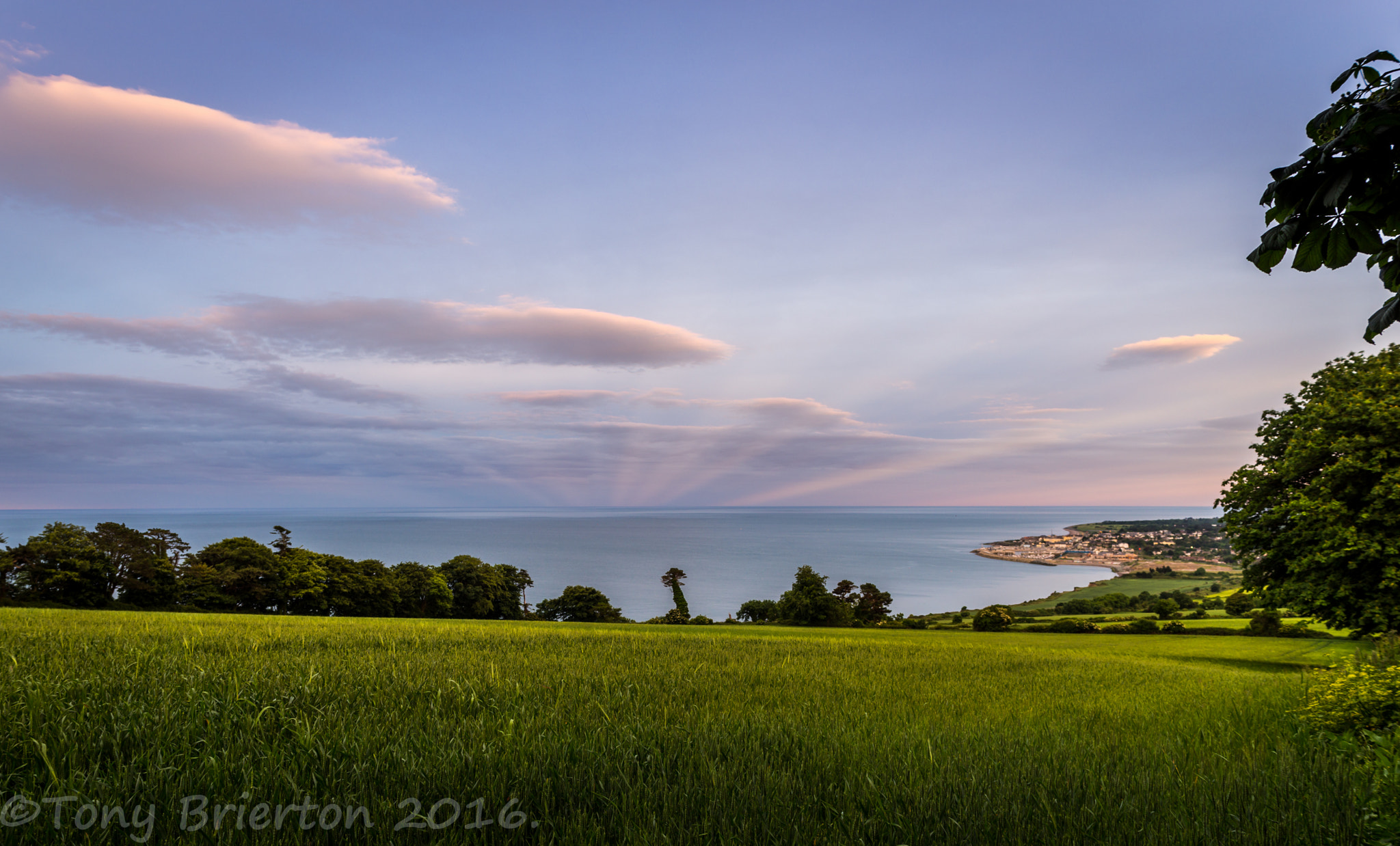 Sony a99 II + Minolta AF 28-80mm F3.5-5.6 II sample photo. Mid-summer sunset. photography