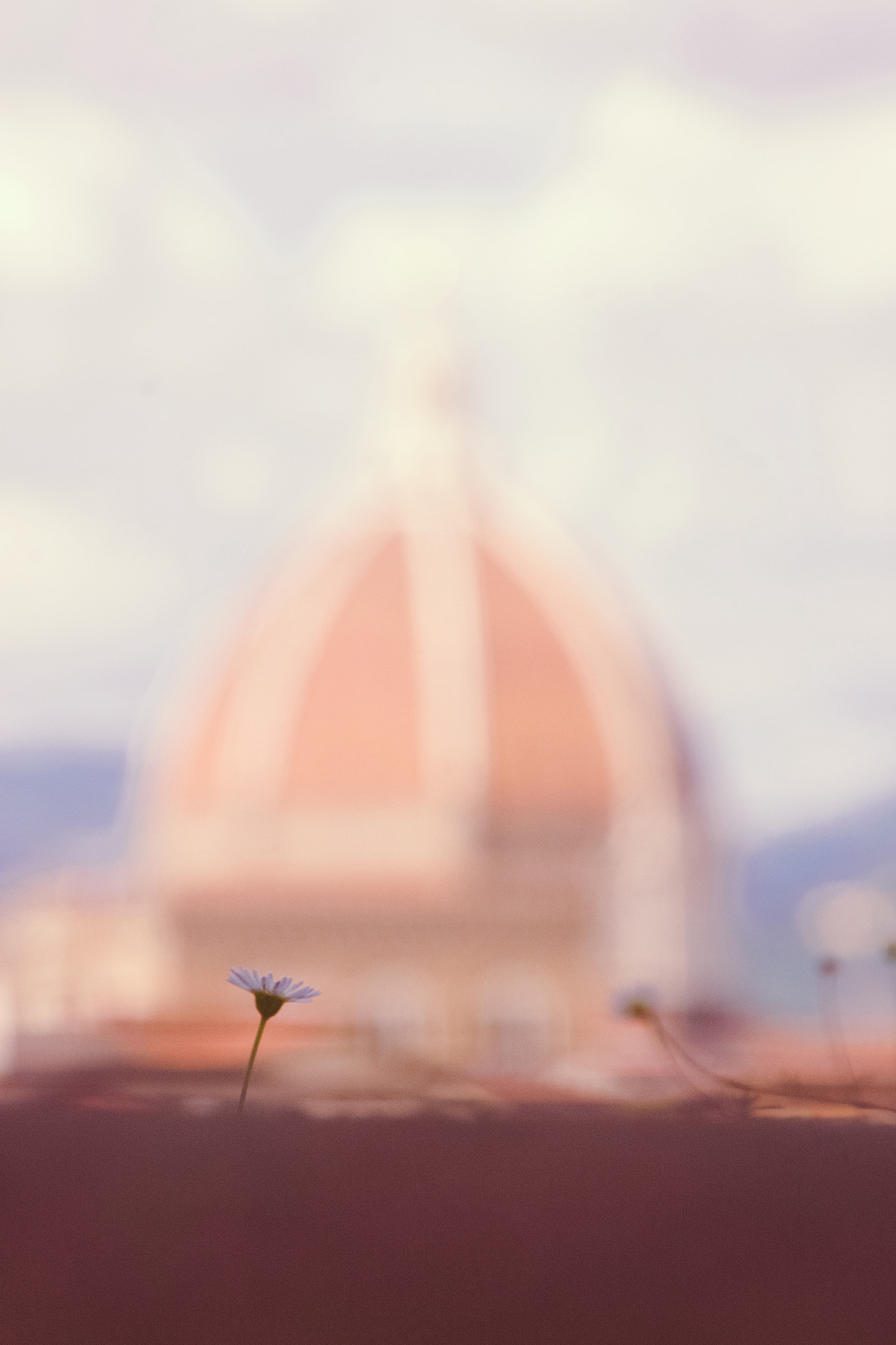 Canon EOS 40D sample photo. Santa maria novella (fi) photography
