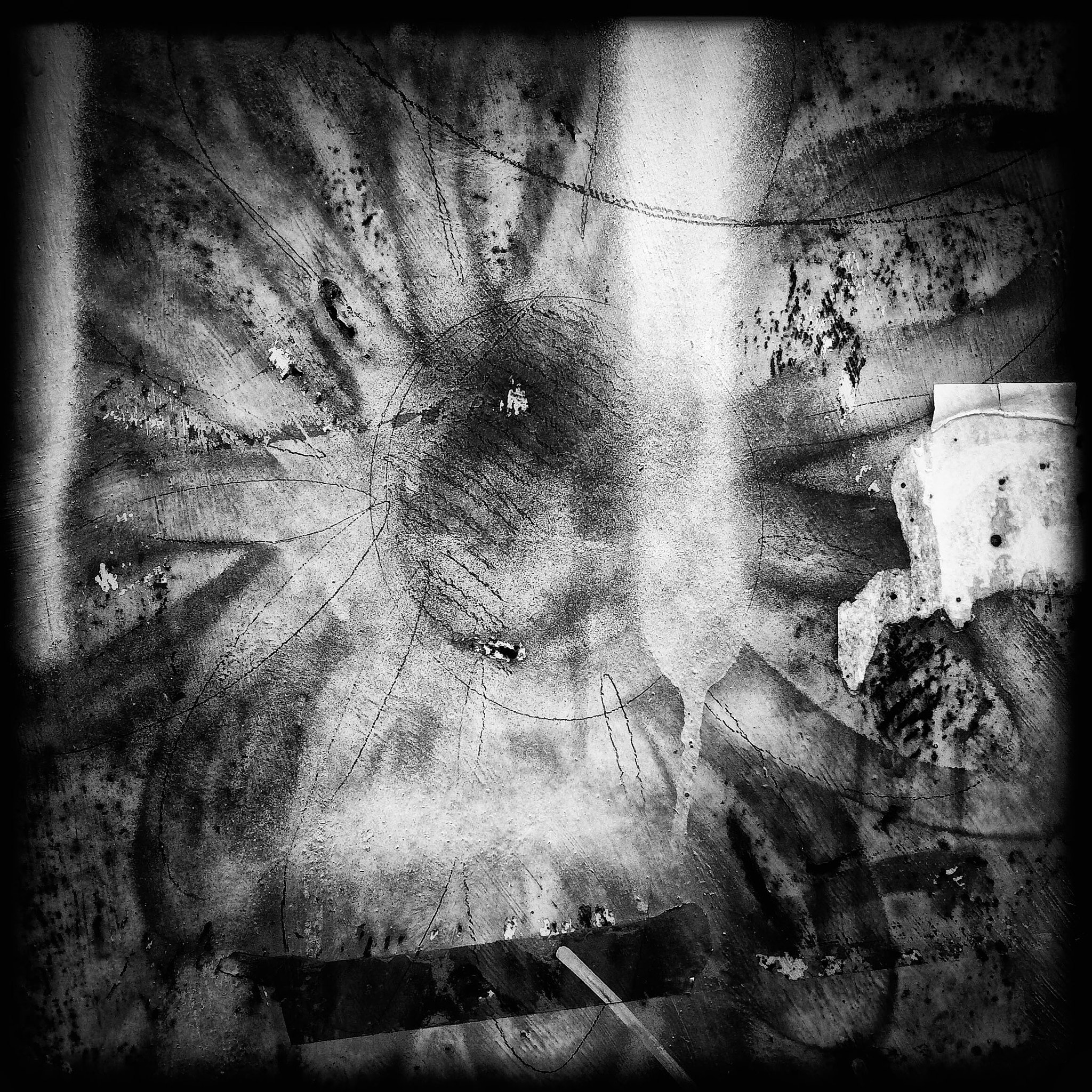 Hipstamatic 313 sample photo. Flower photography