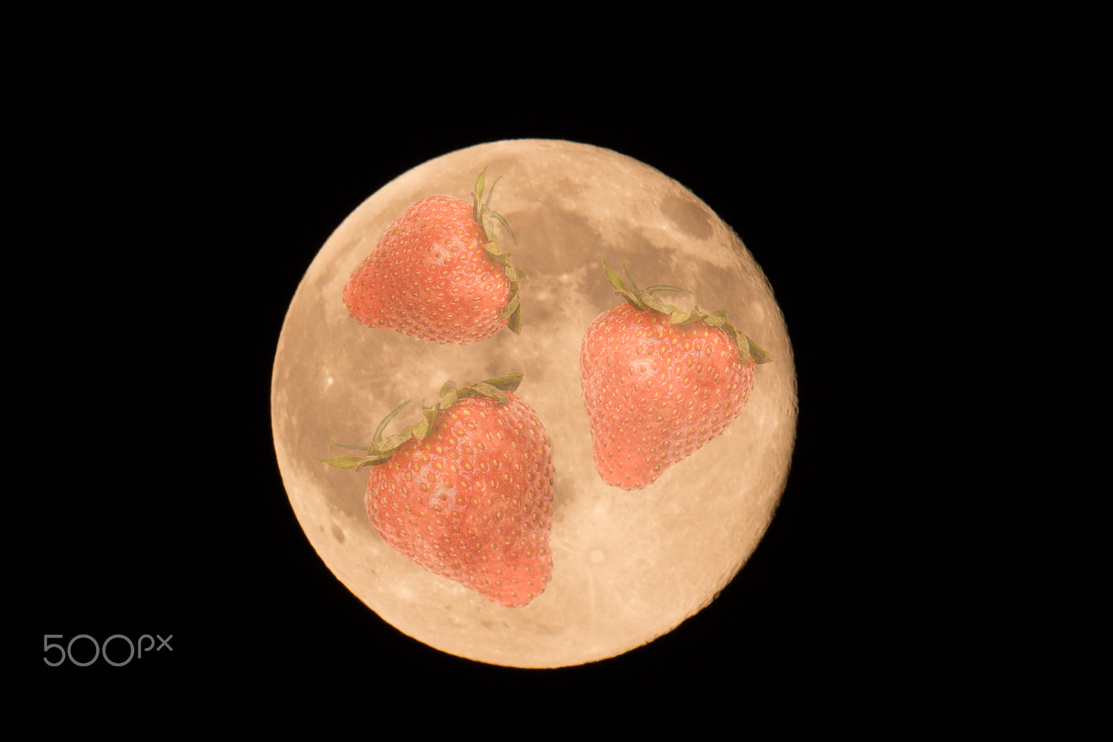 Canon EOS 5DS R + Canon EF 100-400mm F4.5-5.6L IS II USM sample photo. Strawberry moon photography