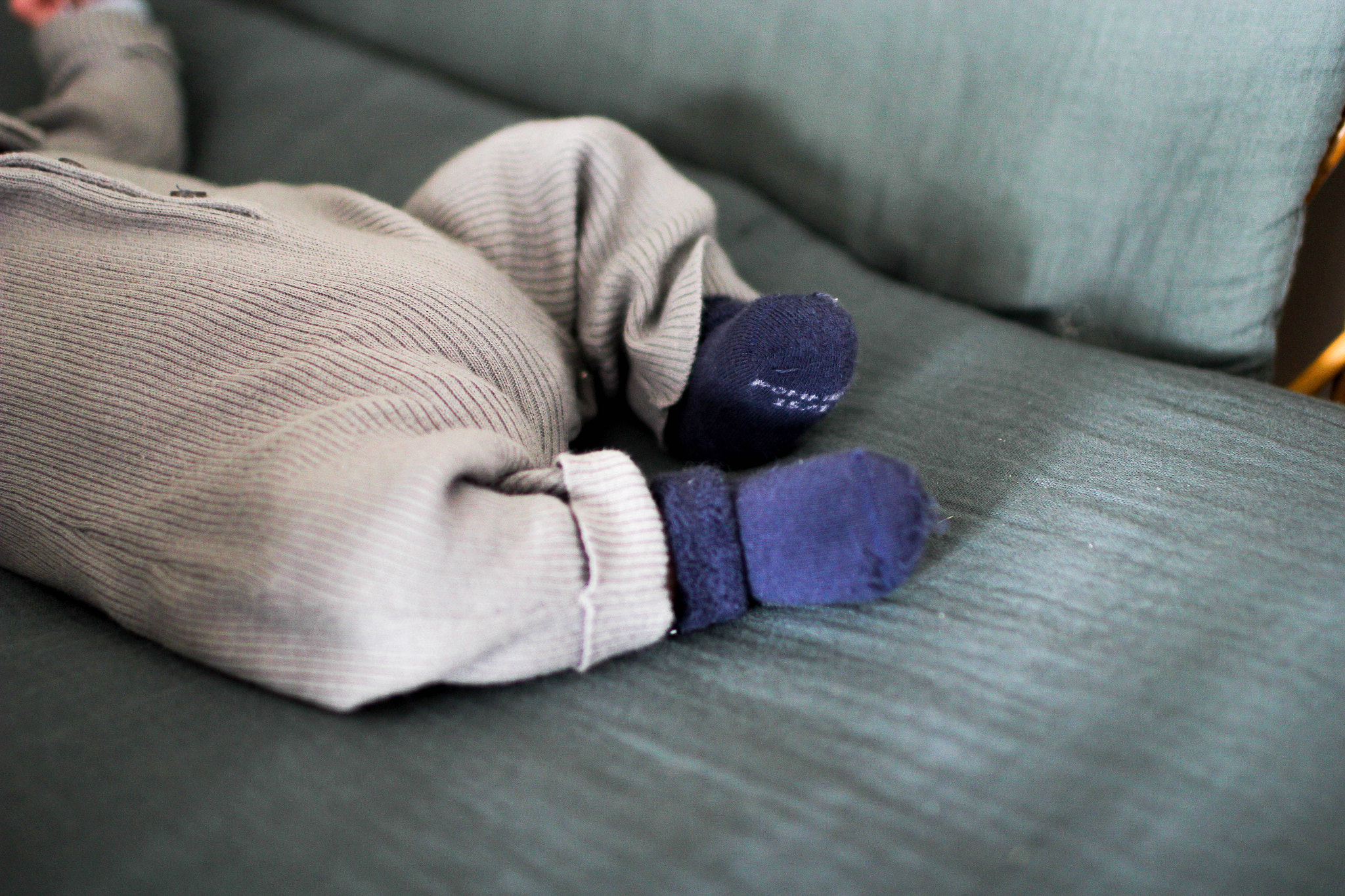 Canon EOS 60D + Canon EF 35mm F1.4L USM sample photo. Petit pieds bien au chaud photography