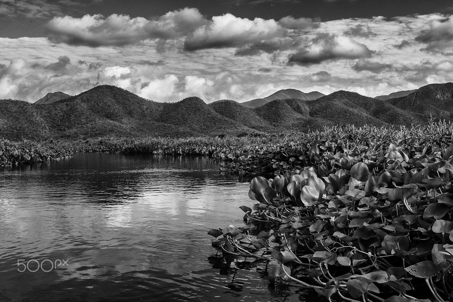 Tamron AF 19-35mm f/3.5-4.5 sample photo. Pantanal photography