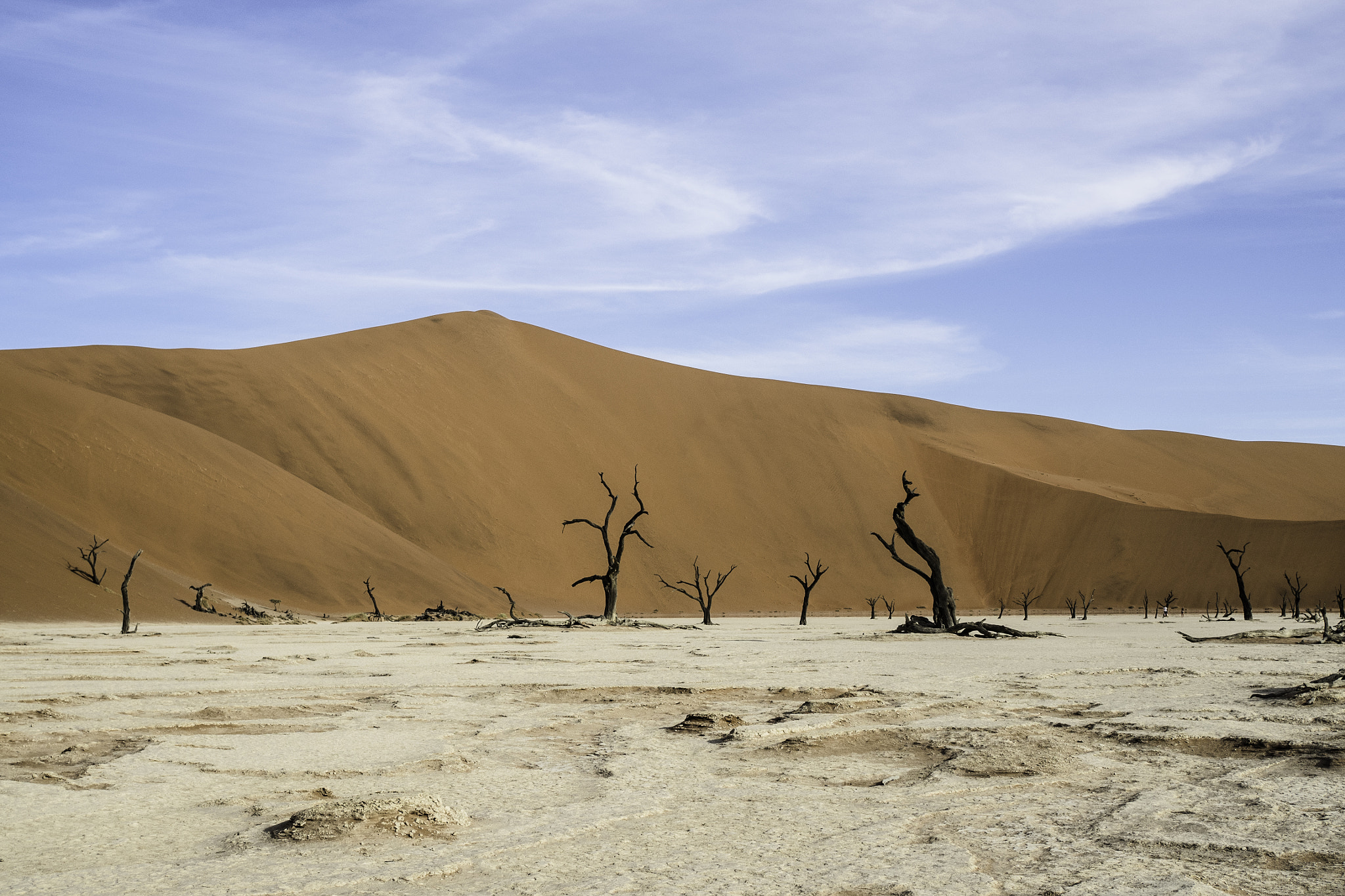 Olympus OM-D E-M5 II + Olympus M.Zuiko Digital 25mm F1.8 sample photo. Deadvlei photography