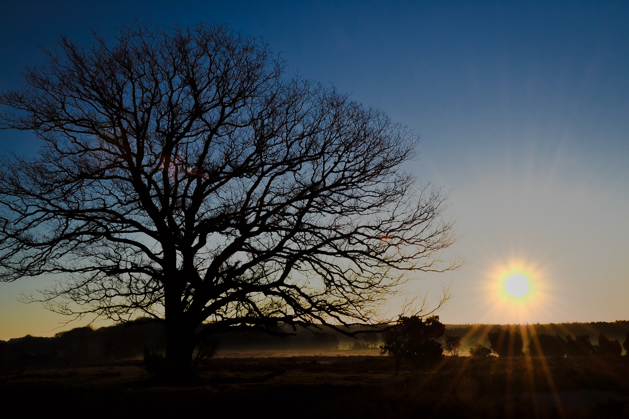 Nikon D3100 sample photo. Sunrise oberhavelbeck (marcel berger) photography