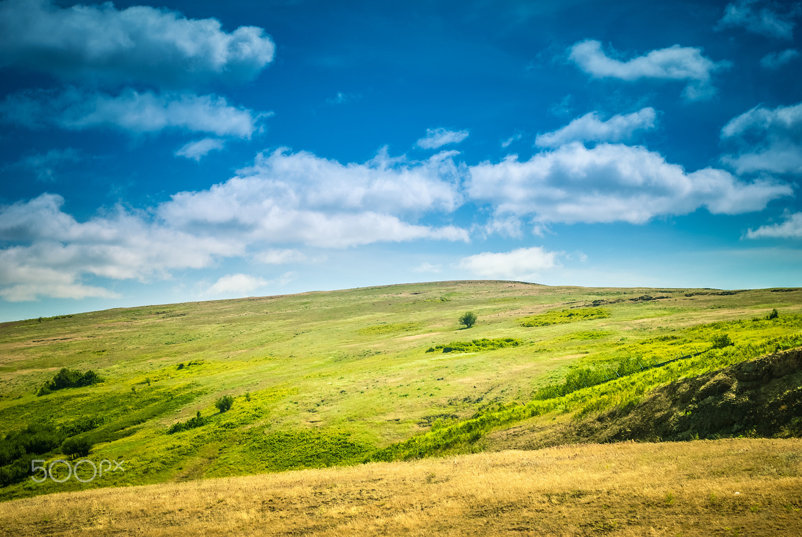Nikon D80 + Nikon AF-S Nikkor 50mm F1.8G sample photo. Earth is beautiful photography