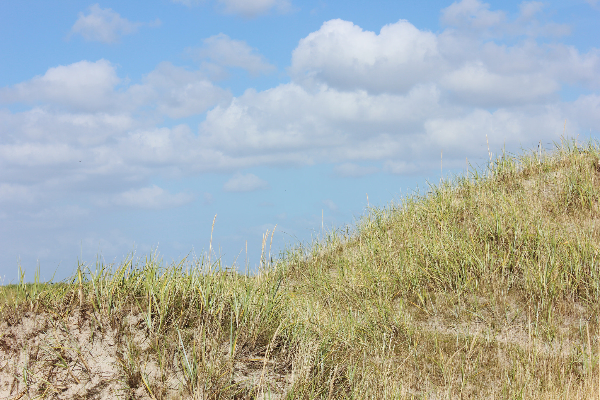 Canon EF-S 18-55mm F3.5-5.6 III sample photo. #dünne #himmel #bearbeitet #600d photography