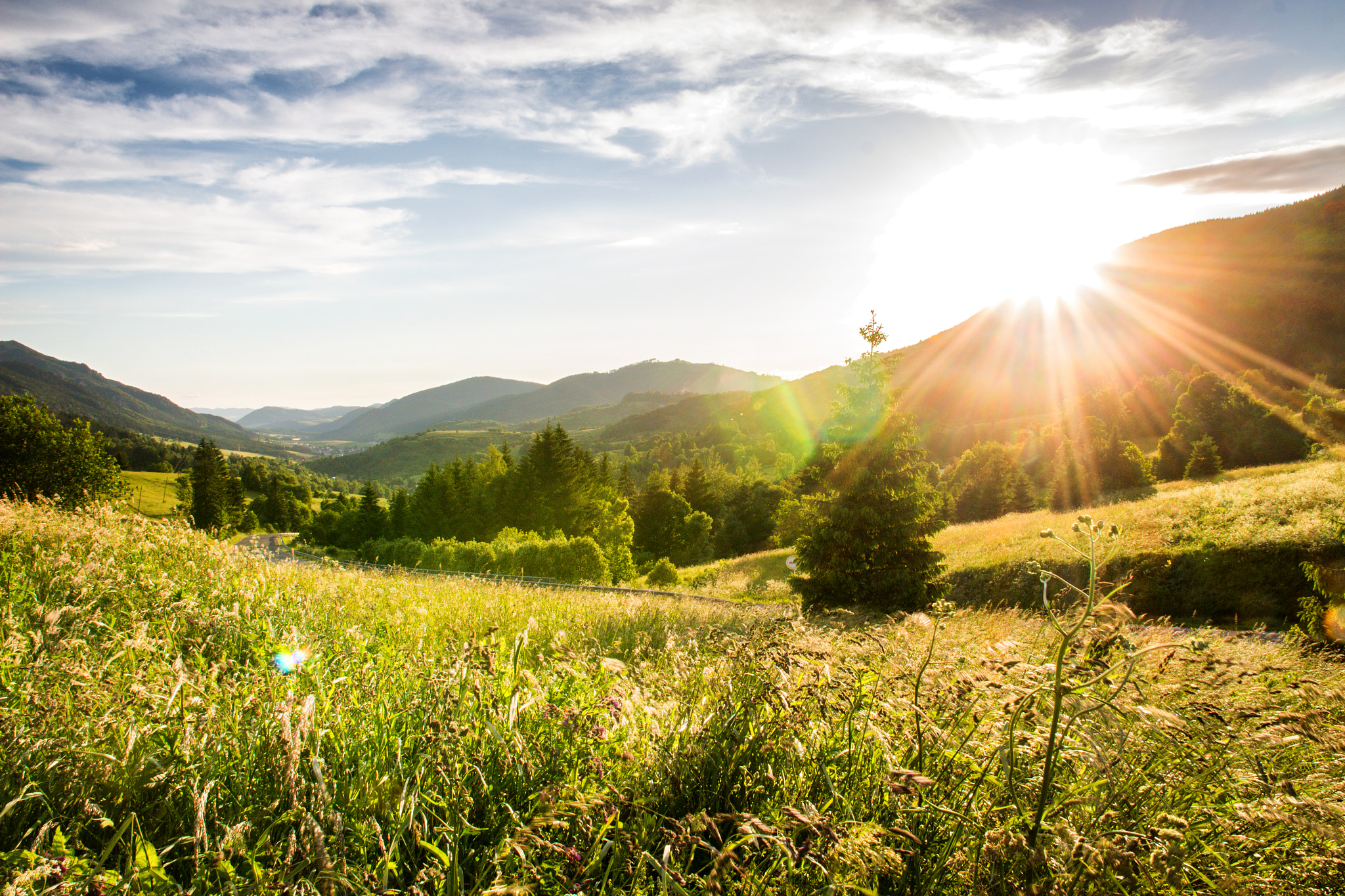 Sigma 17-70mm F2.8-4 DC Macro OS HSM sample photo. Liptov photography
