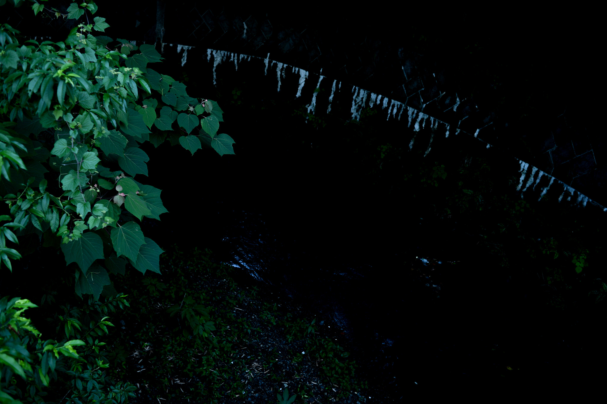 Nikon Df + Nikon AF Nikkor 35mm F2D sample photo. Dsc_6828.jpg photography