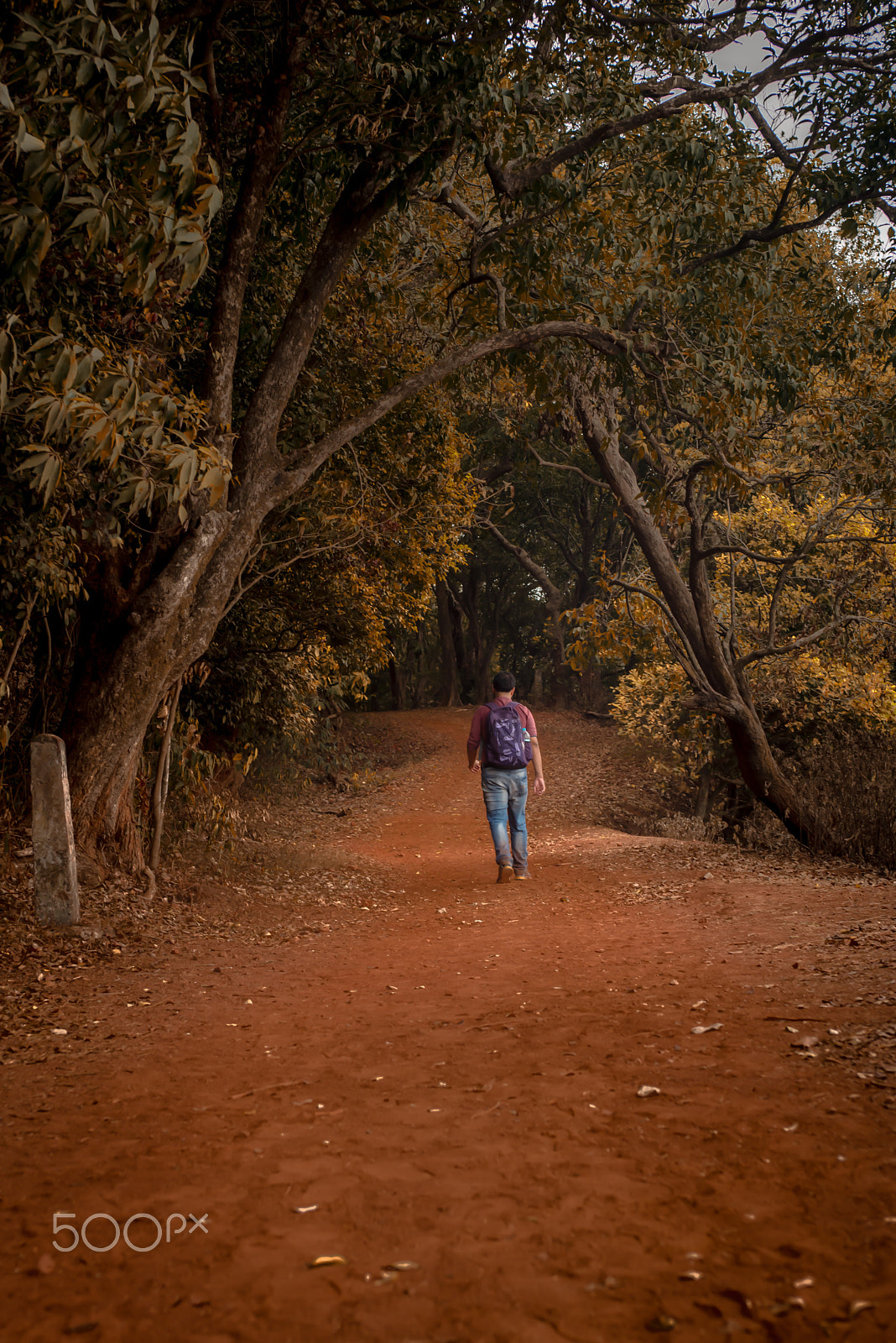 Nikon D750 + AF Zoom-Nikkor 35-70mm f/2.8D sample photo. Walk alone photography