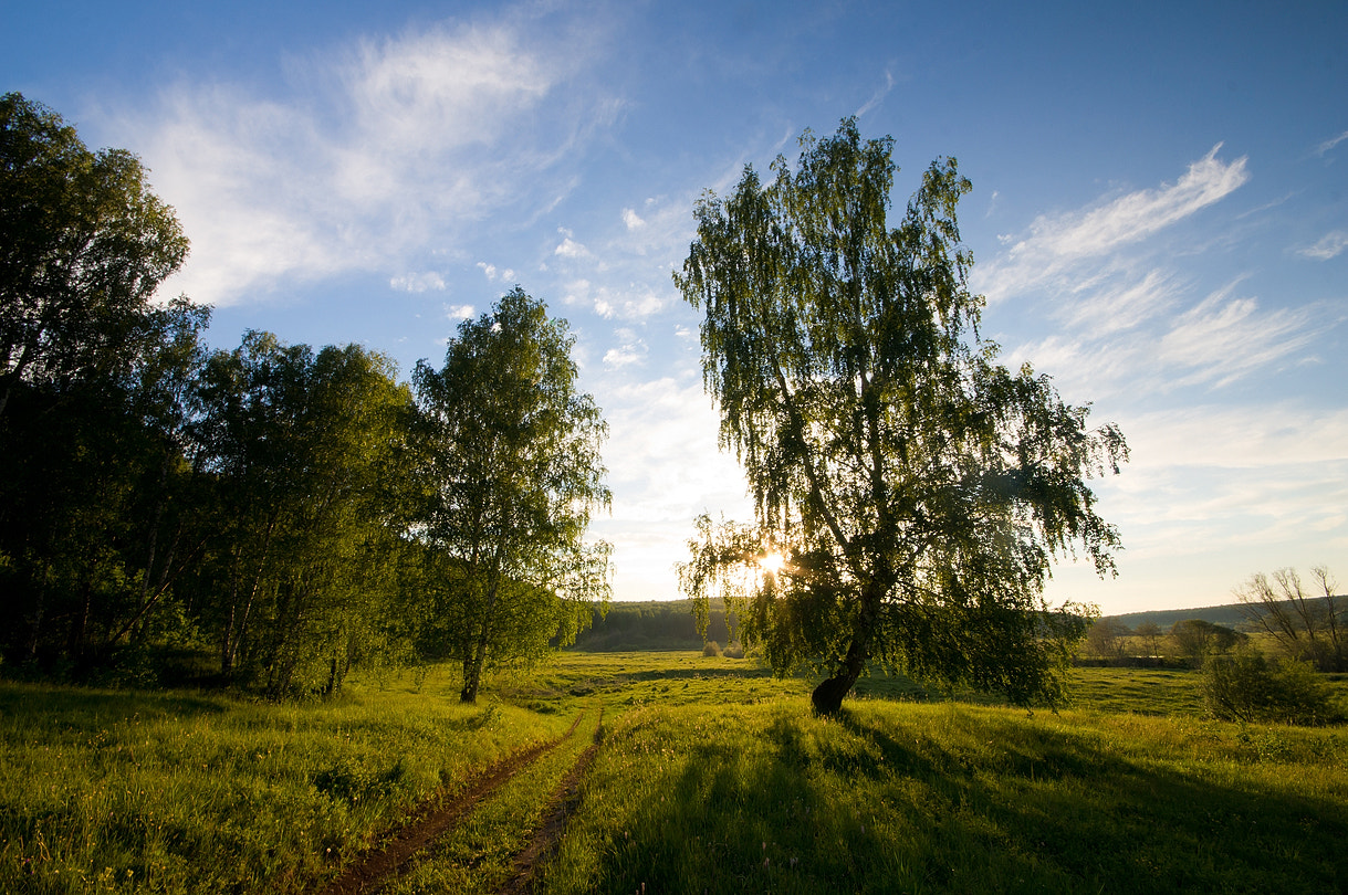 Sigma AF 10-20mm F4-5.6 EX DC sample photo. Evening photography