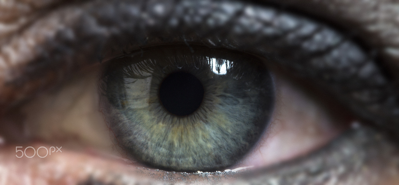 90mm F2.8 Macro SSM sample photo. Gate to the soul photography