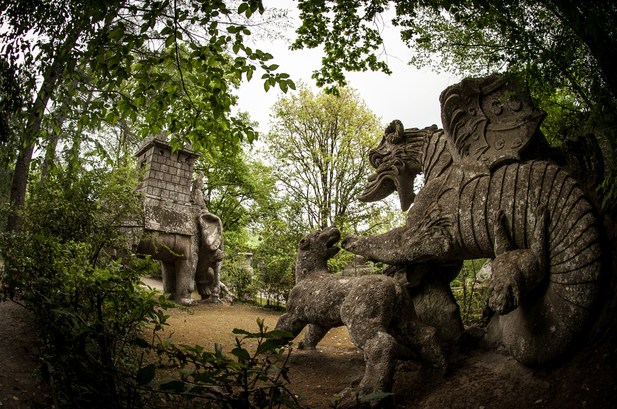 Nikon AF DX Fisheye-Nikkor 10.5mm F2.8G ED sample photo. Bomarzo park, italy photography