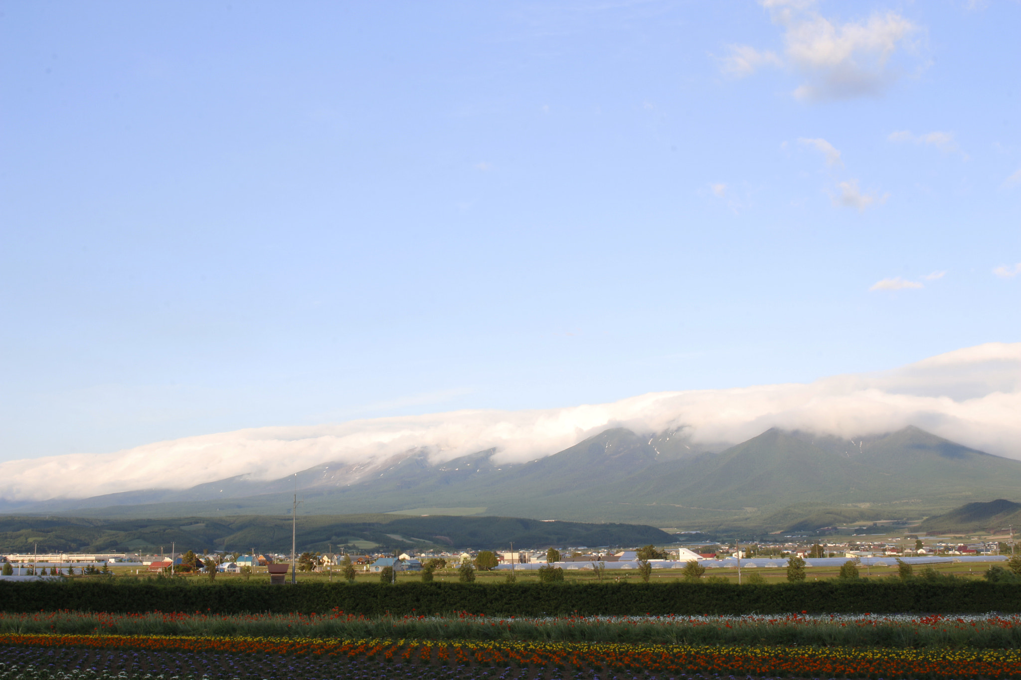 Canon EOS 650D (EOS Rebel T4i / EOS Kiss X6i) sample photo. Dense photography