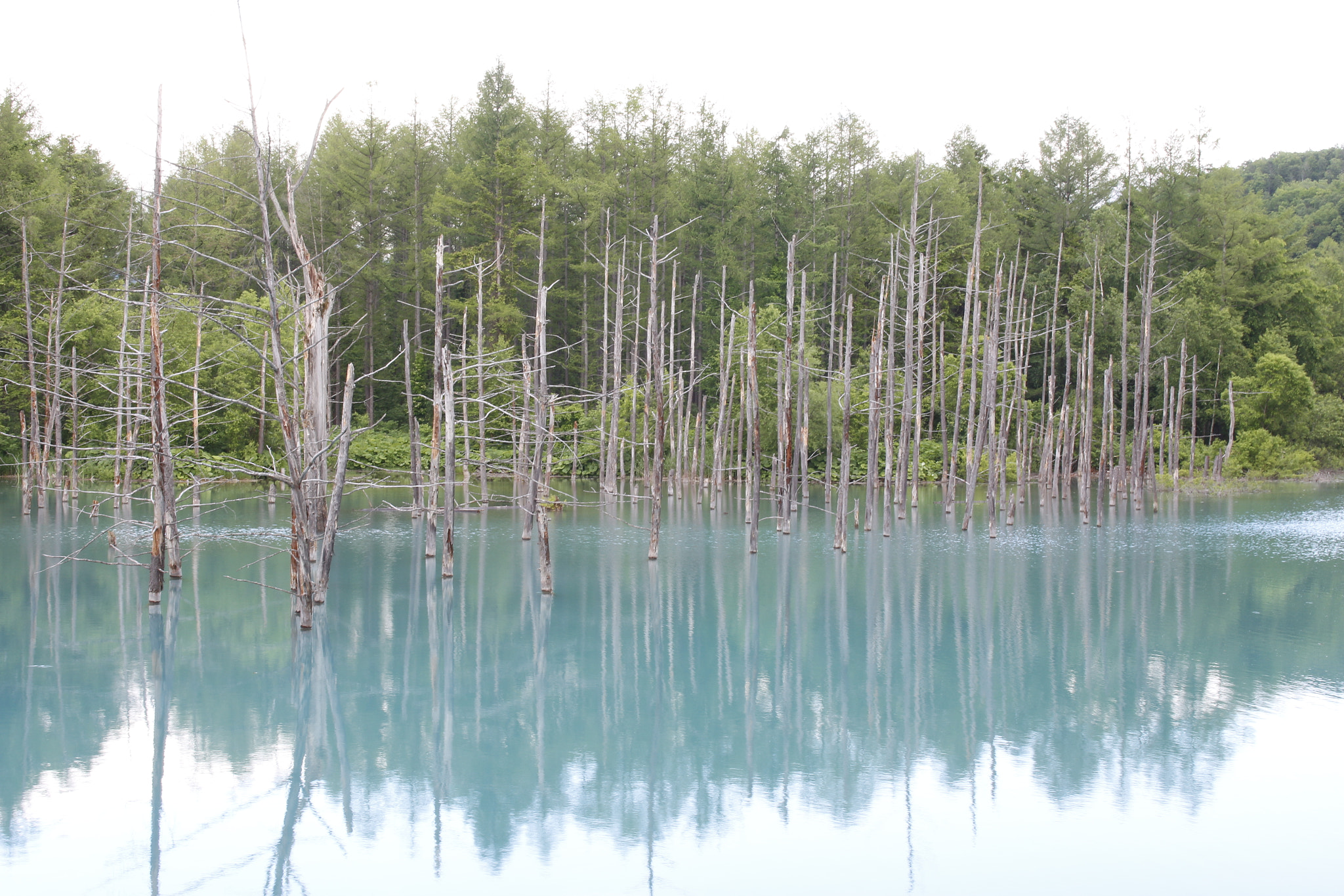 Canon EOS 650D (EOS Rebel T4i / EOS Kiss X6i) sample photo. Mirror photography