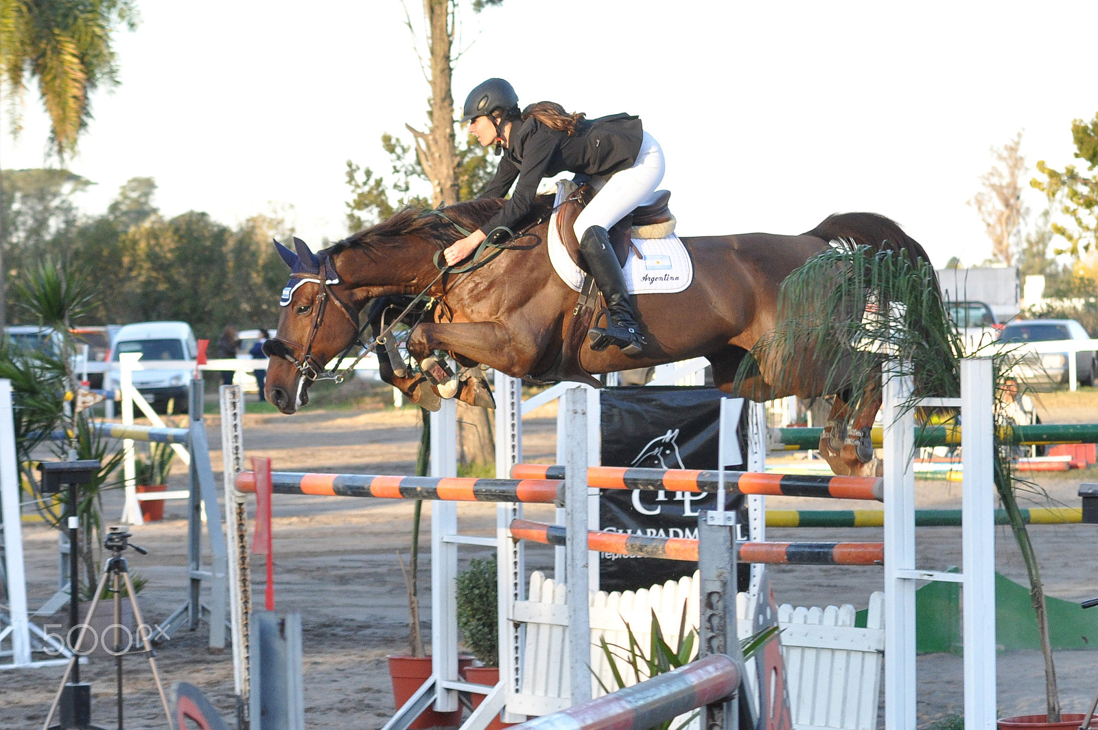 Sigma 50-150mm F2.8 EX APO DC HSM II sample photo. Showjumping / saltos hípicos photography