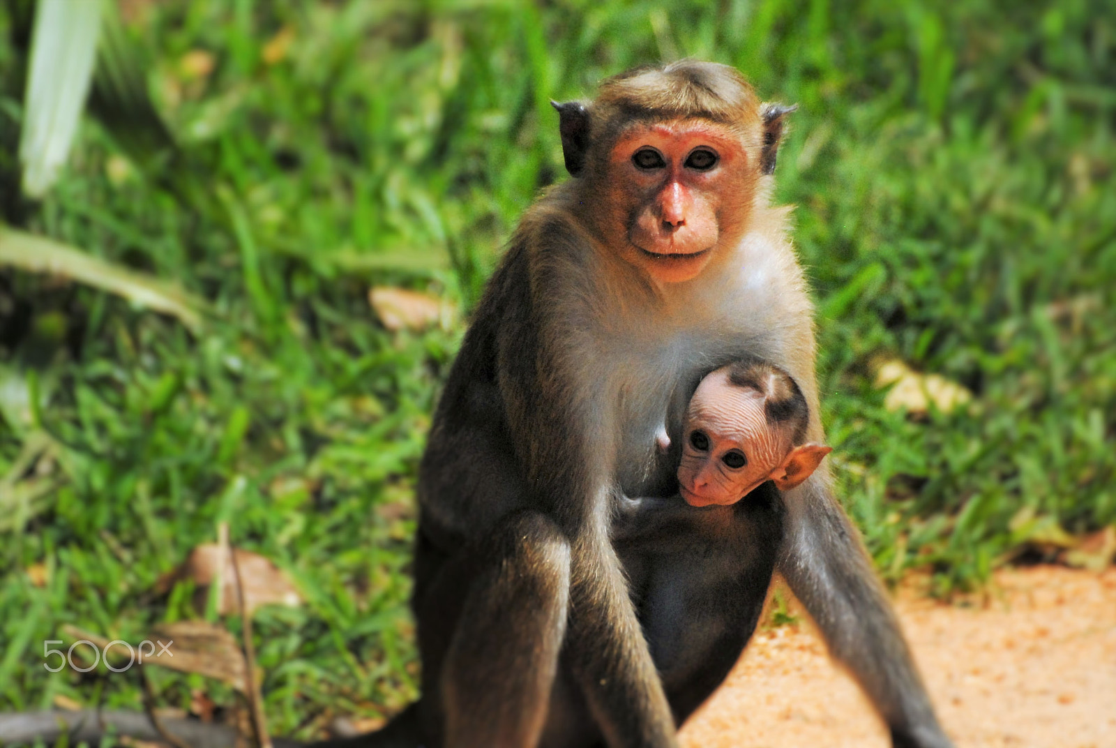 Nikon D200 + Sigma 70-300mm F4-5.6 DG OS sample photo. Mother and child photography