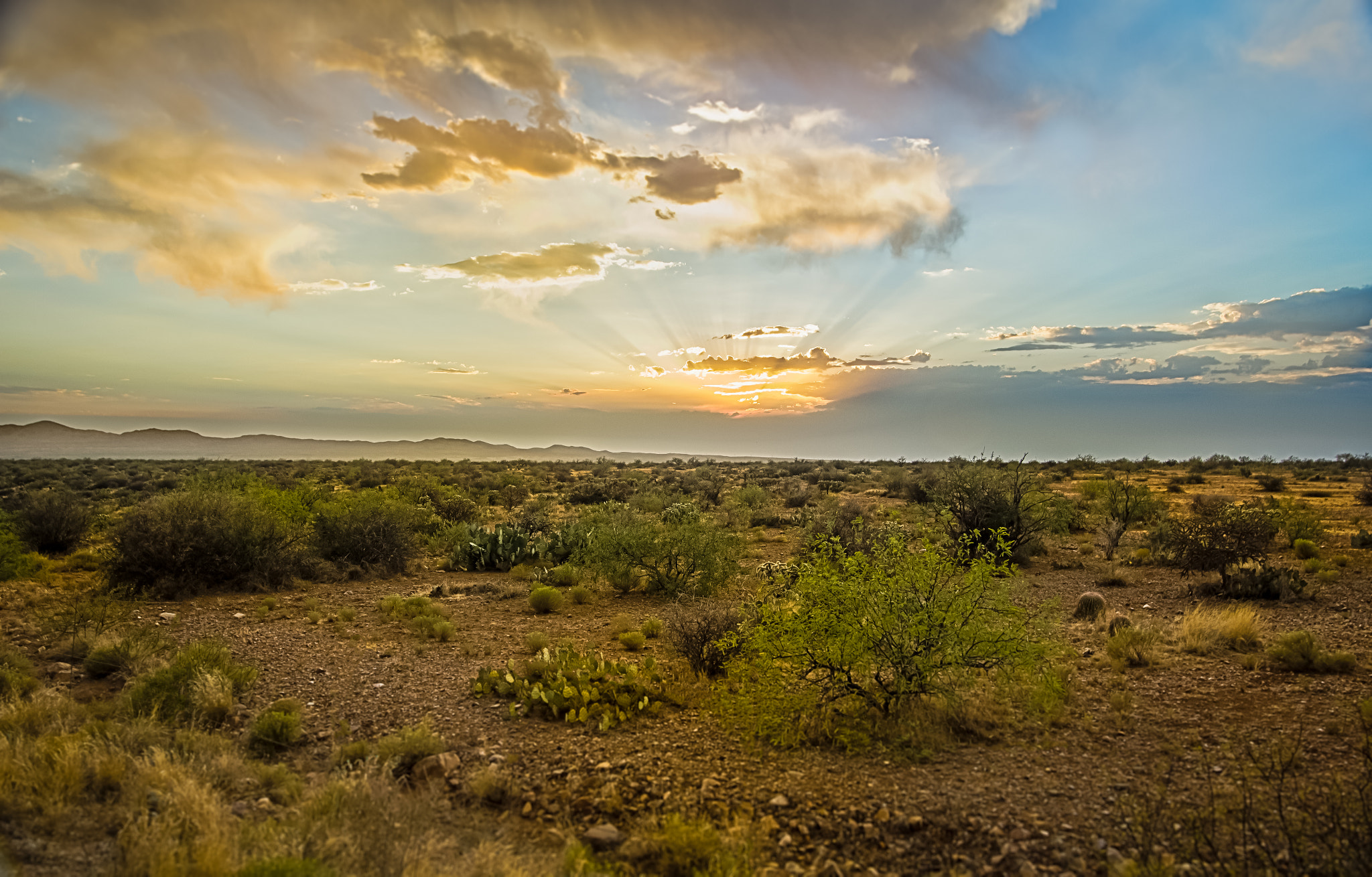 Sigma 15-30mm f/3.5-4.5 EX DG Aspherical sample photo. Summer solstice sunset in the desert photography