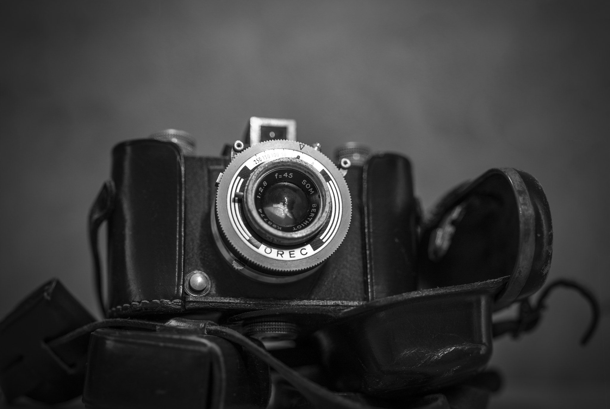 Nikon D3100 + AF Micro-Nikkor 60mm f/2.8 sample photo. Orec throne photography