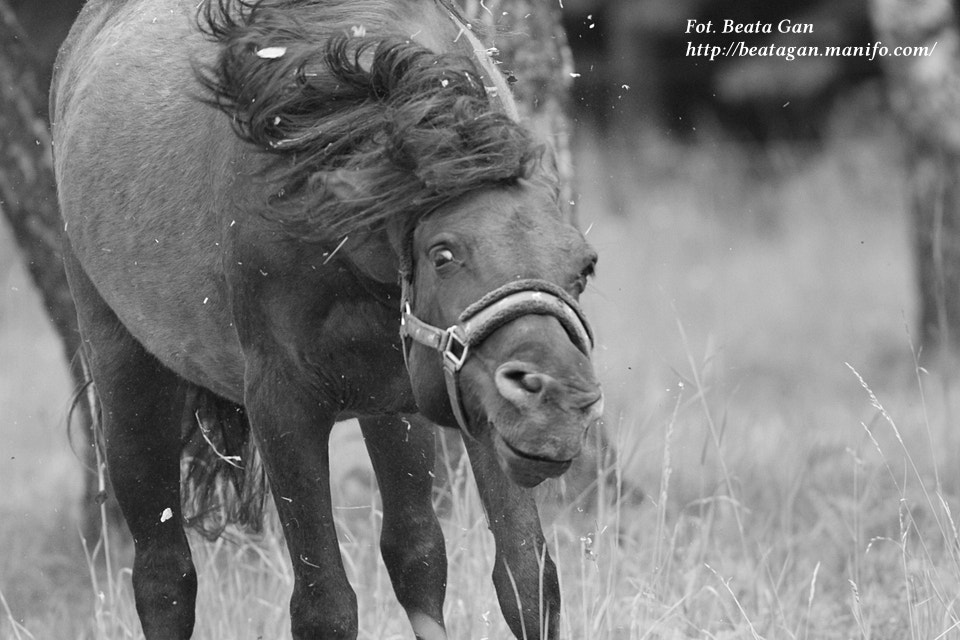 Canon EOS 7D + Canon EF 400mm F5.6L USM sample photo. :) photography