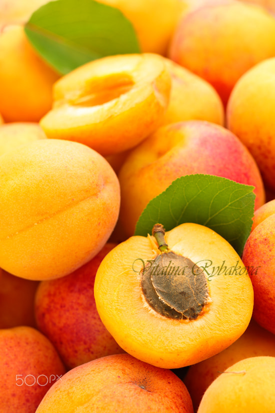 Fresh apricots background.