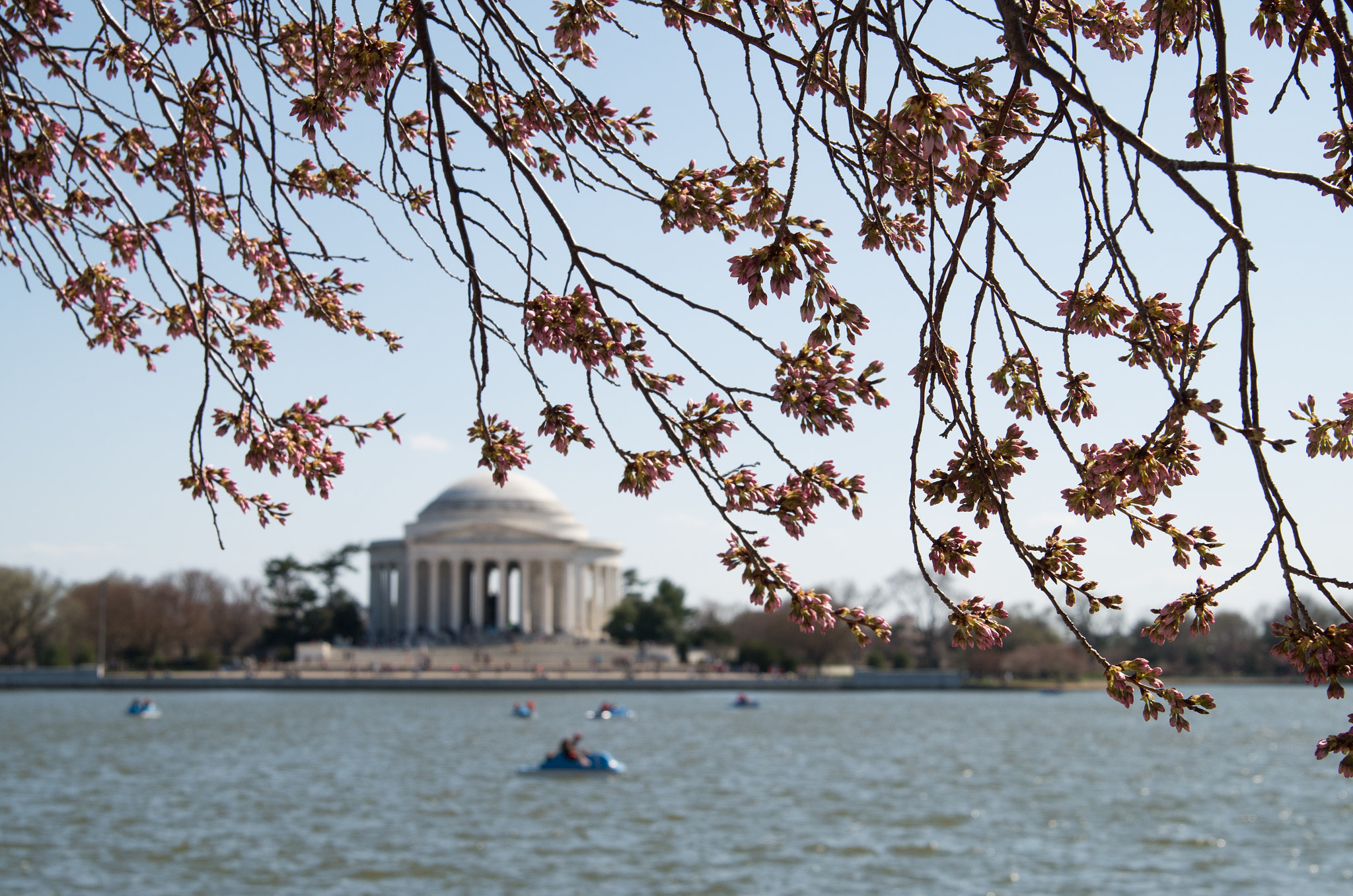 Tamron AF 28-75mm F2.8 XR Di LD Aspherical (IF) sample photo. Cherry blossoms photography