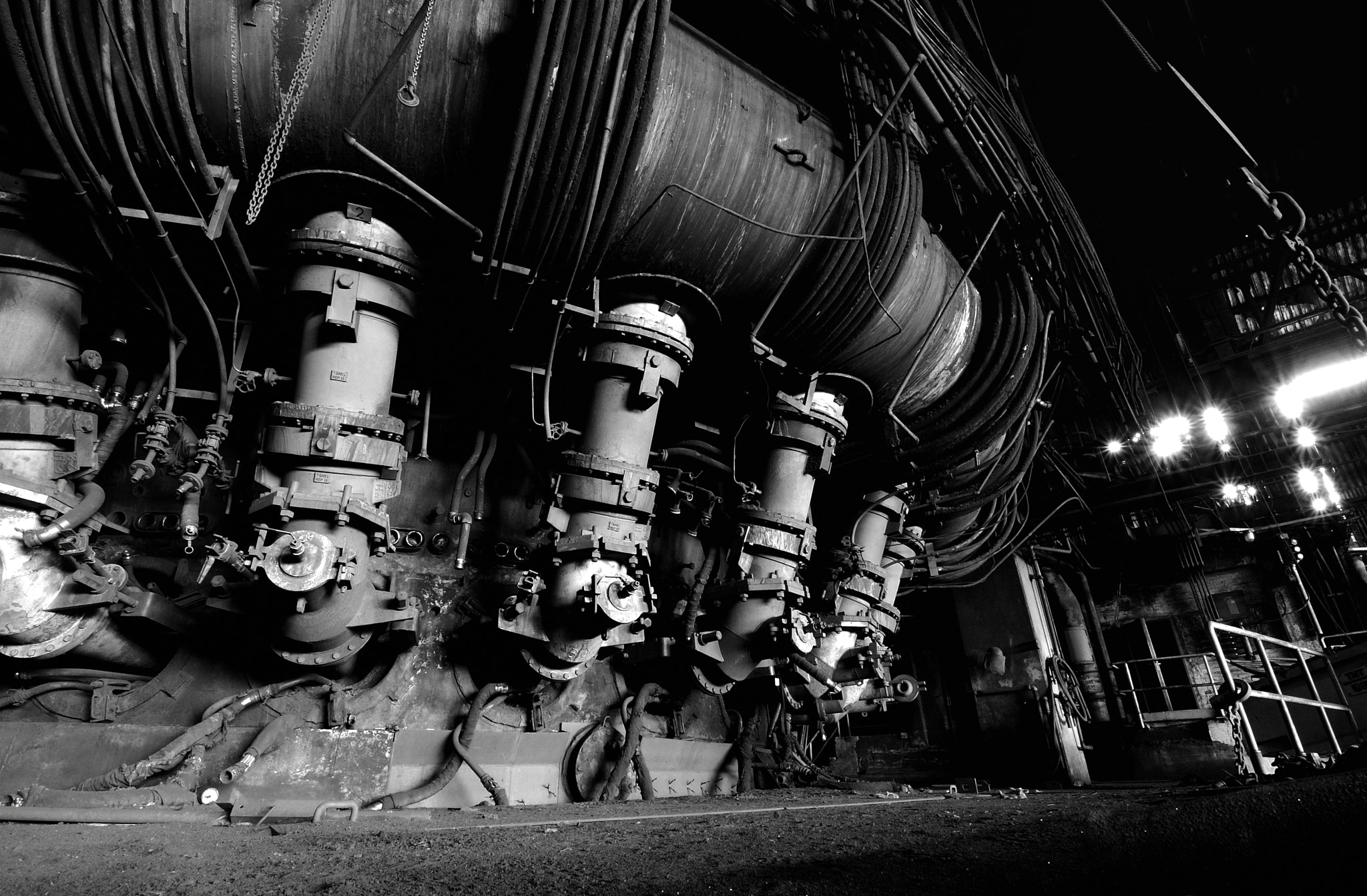 Nikon D60 sample photo. Caminus photography