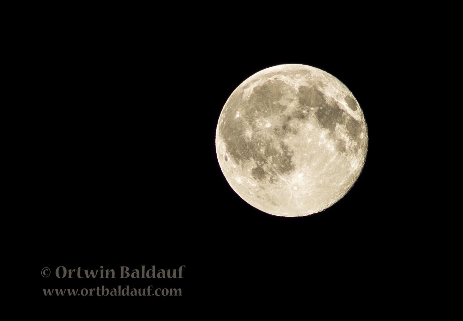 Sony Alpha DSLR-A500 sample photo. Strawberry moon-2016 photography