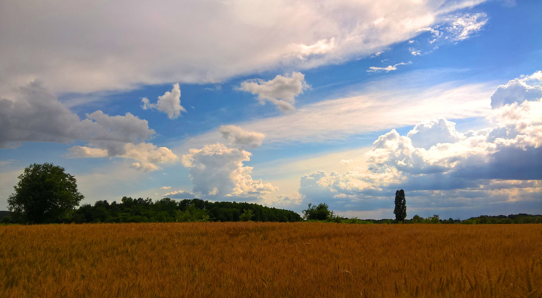 Microsoft Lumia 640 XL sample photo. Nature photography