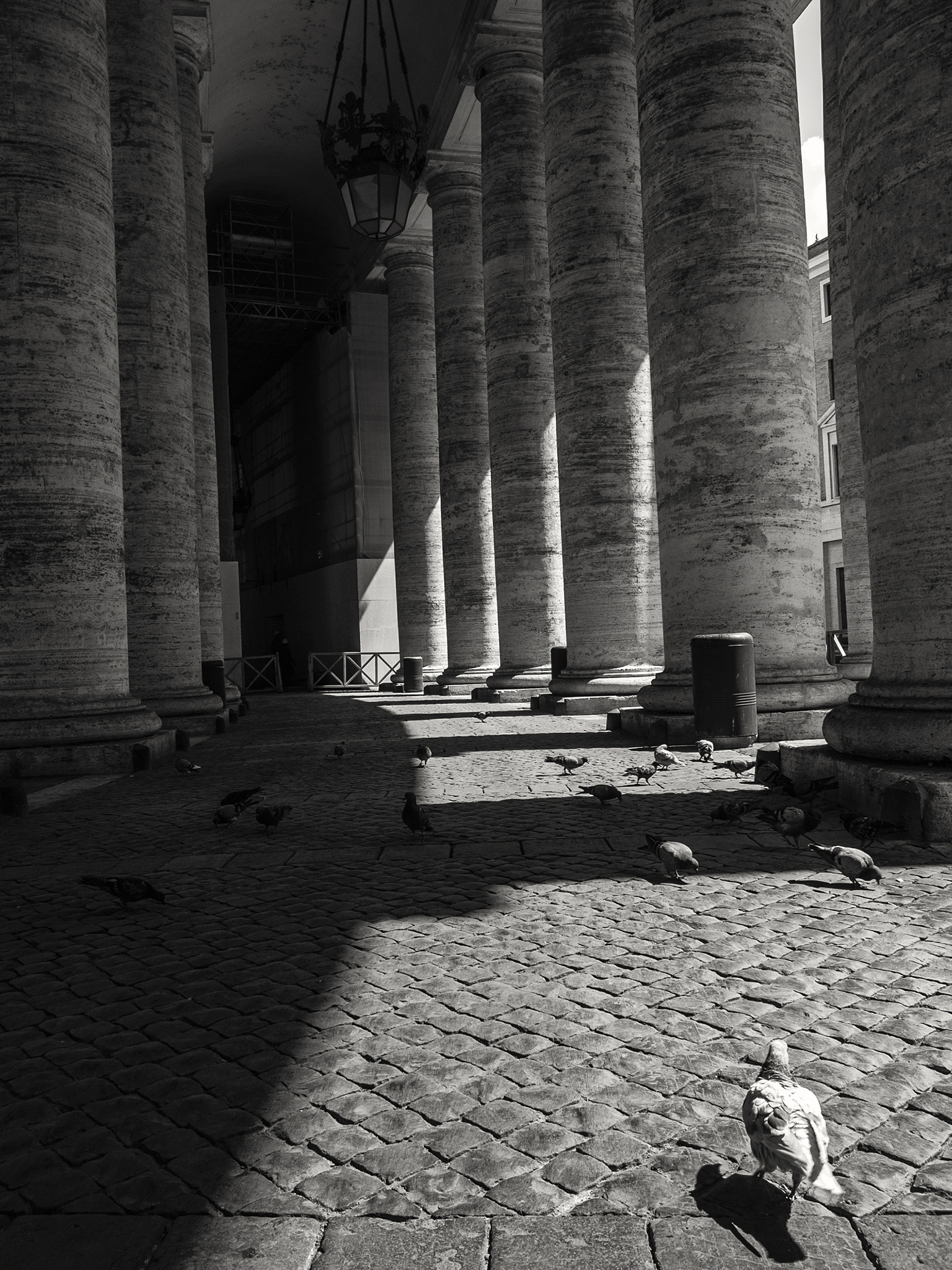 Leica Digilux 3 sample photo. 21 de junio - paseo entre columnas i photography