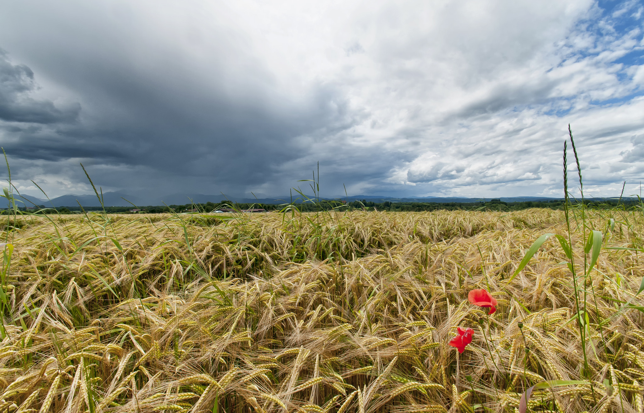 Nikon D300S sample photo. Before the thunderstorm photography