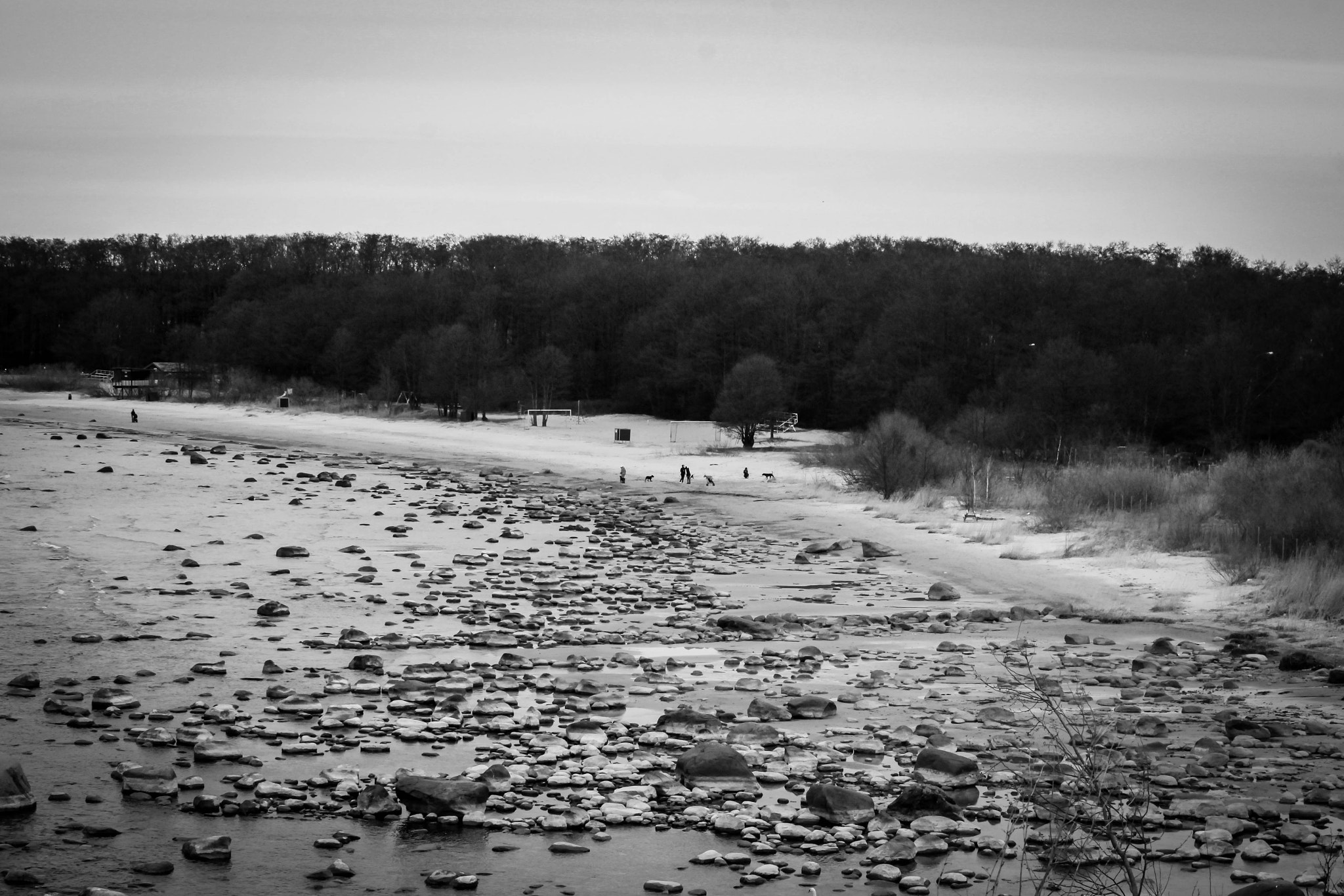 Canon EF 55-200mm F4.5-5.6 II USM sample photo. Playa haabneeme photography