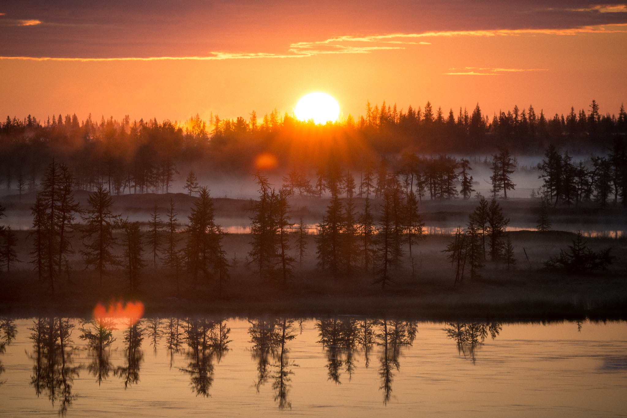 Nikon D800 + AF Zoom-Nikkor 70-210mm f/4 sample photo. Sleeping sun photography