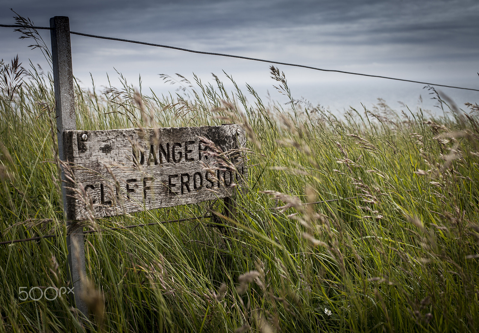 Canon EOS 5D Mark II + Canon EF 50mm F1.4 USM sample photo. Danger cliff sign photography
