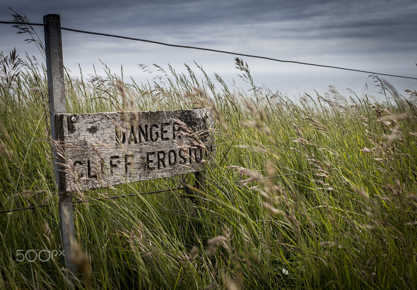 Canon EF 50mm F1.4 USM sample photo. Danger cliff sign photography