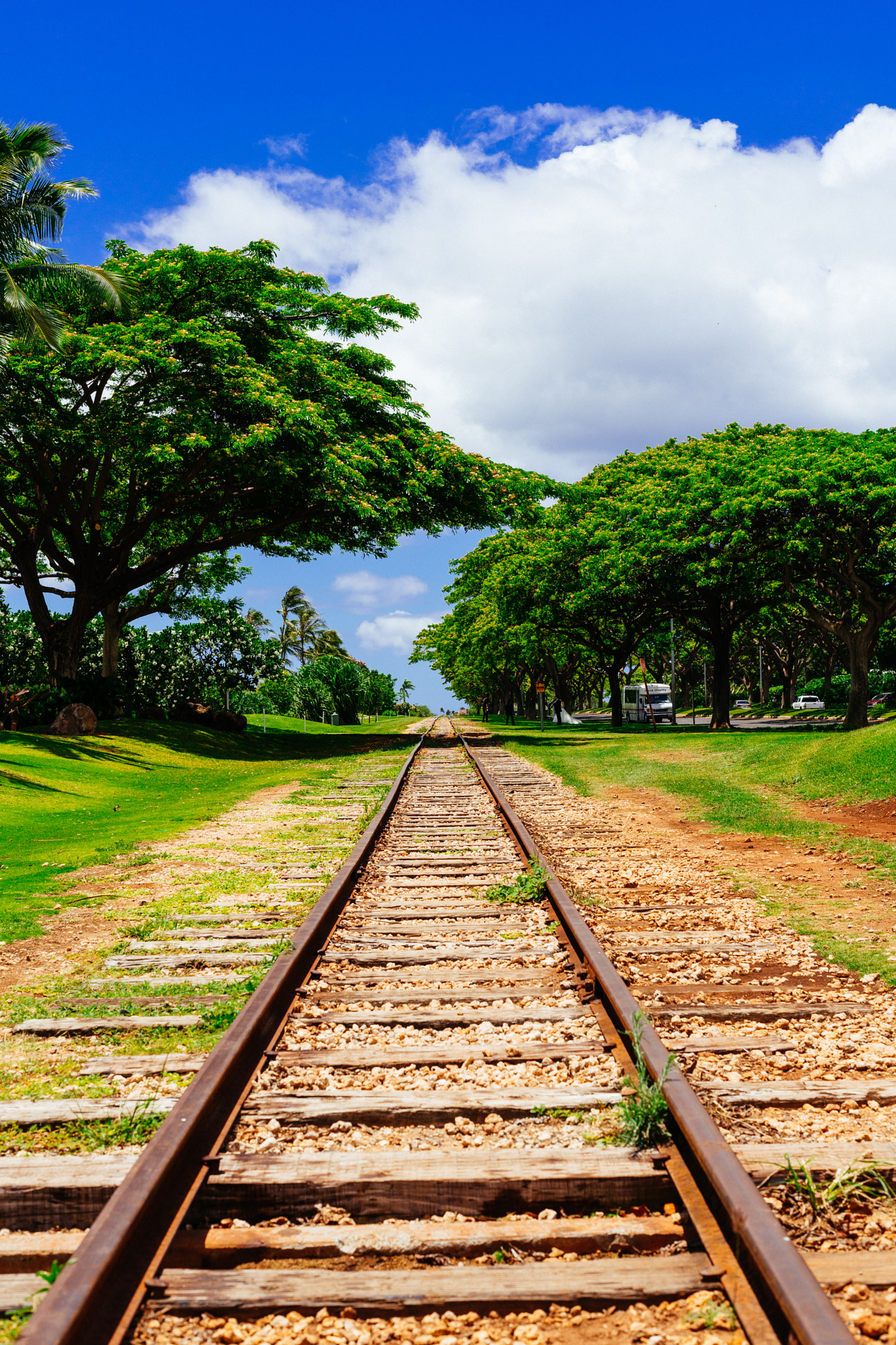 E 50mm F2 sample photo. Train tracks photography