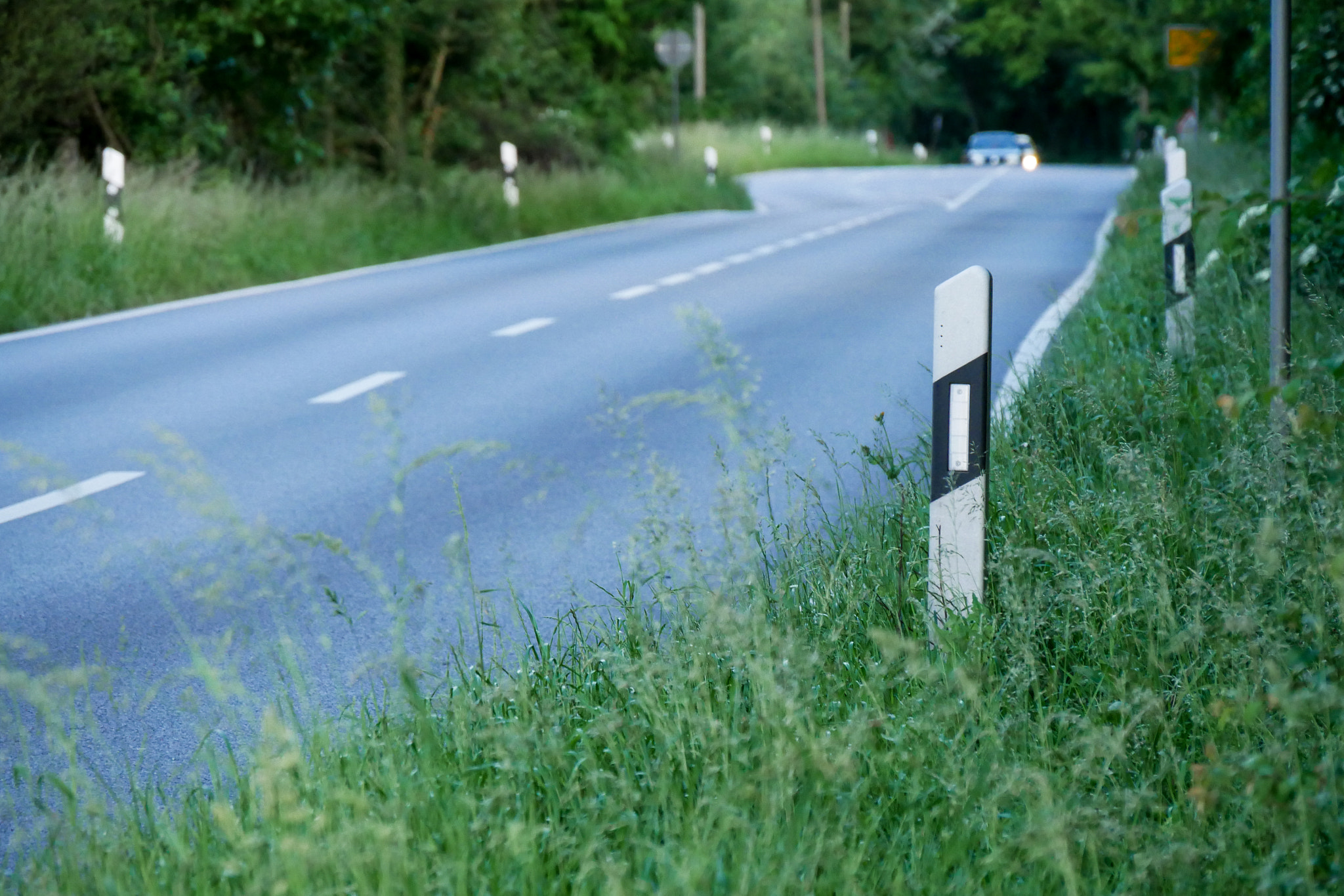 Panasonic Lumix DMC-GX85 (Lumix DMC-GX80 / Lumix DMC-GX7 Mark II) sample photo. Country road photography