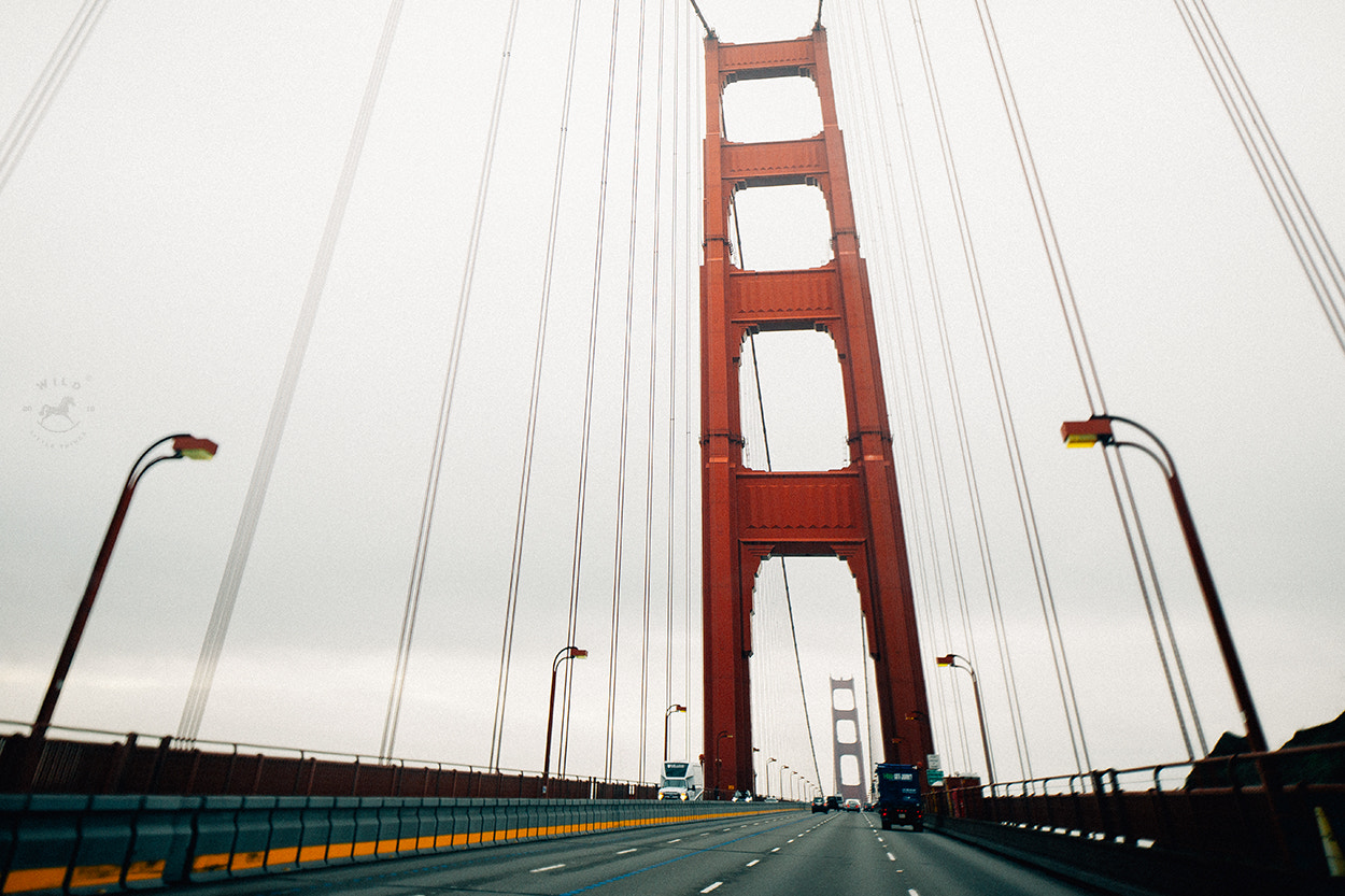 Canon TS-E 24.0mm f/3.5 L II sample photo. Crossing bridges photography