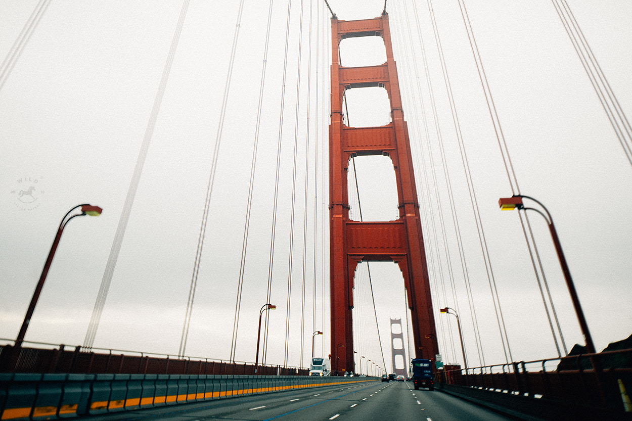 Canon EOS 6D + Canon TS-E 24.0mm f/3.5 L II sample photo. Crossing bridges photography