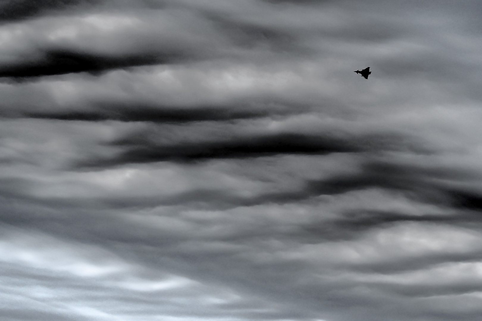 Olympus OM-D E-M5 sample photo. "black" photography