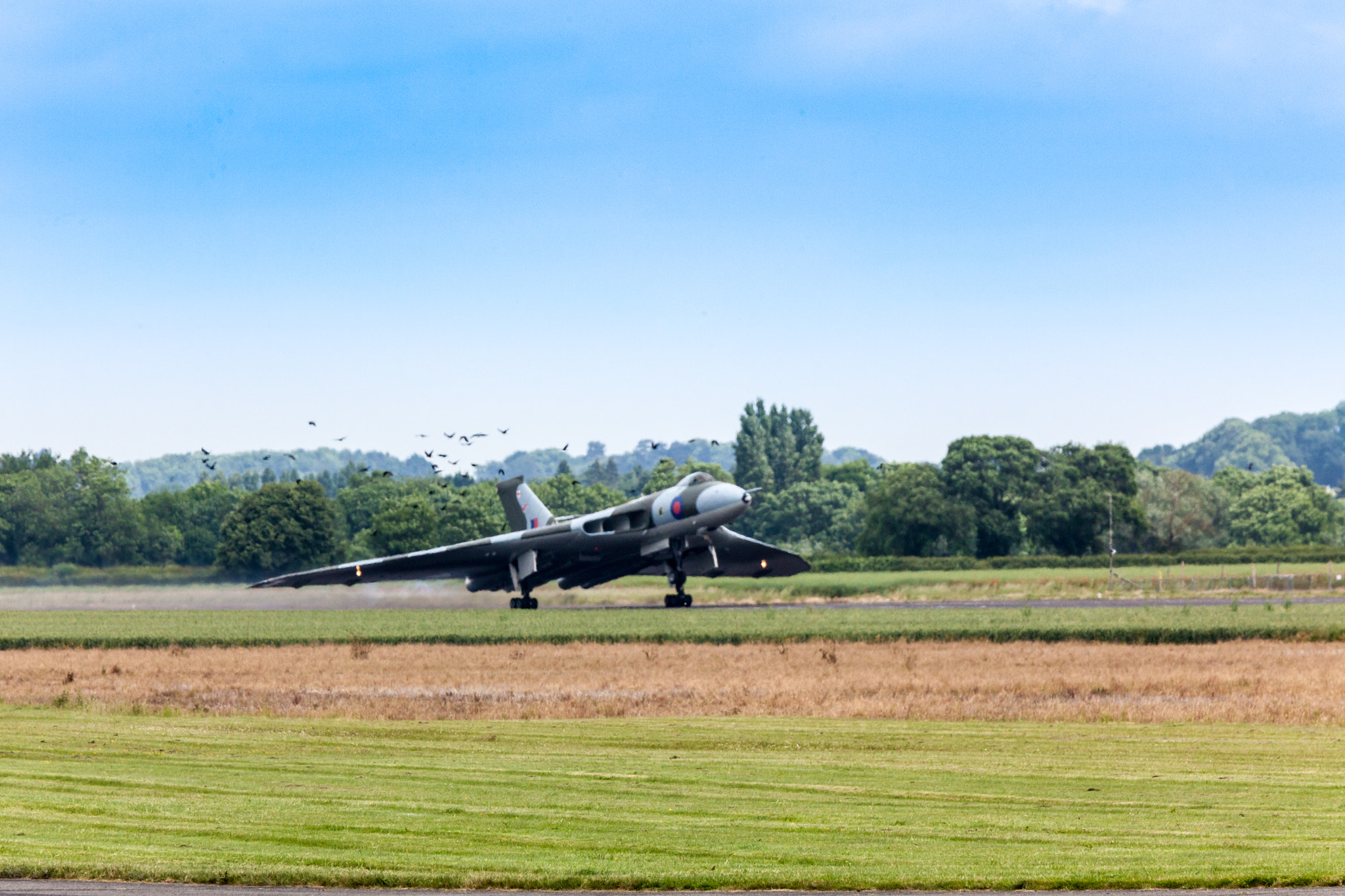 Canon EF 70-200mm F4L IS USM sample photo. Xm655 - lifting her wings photography