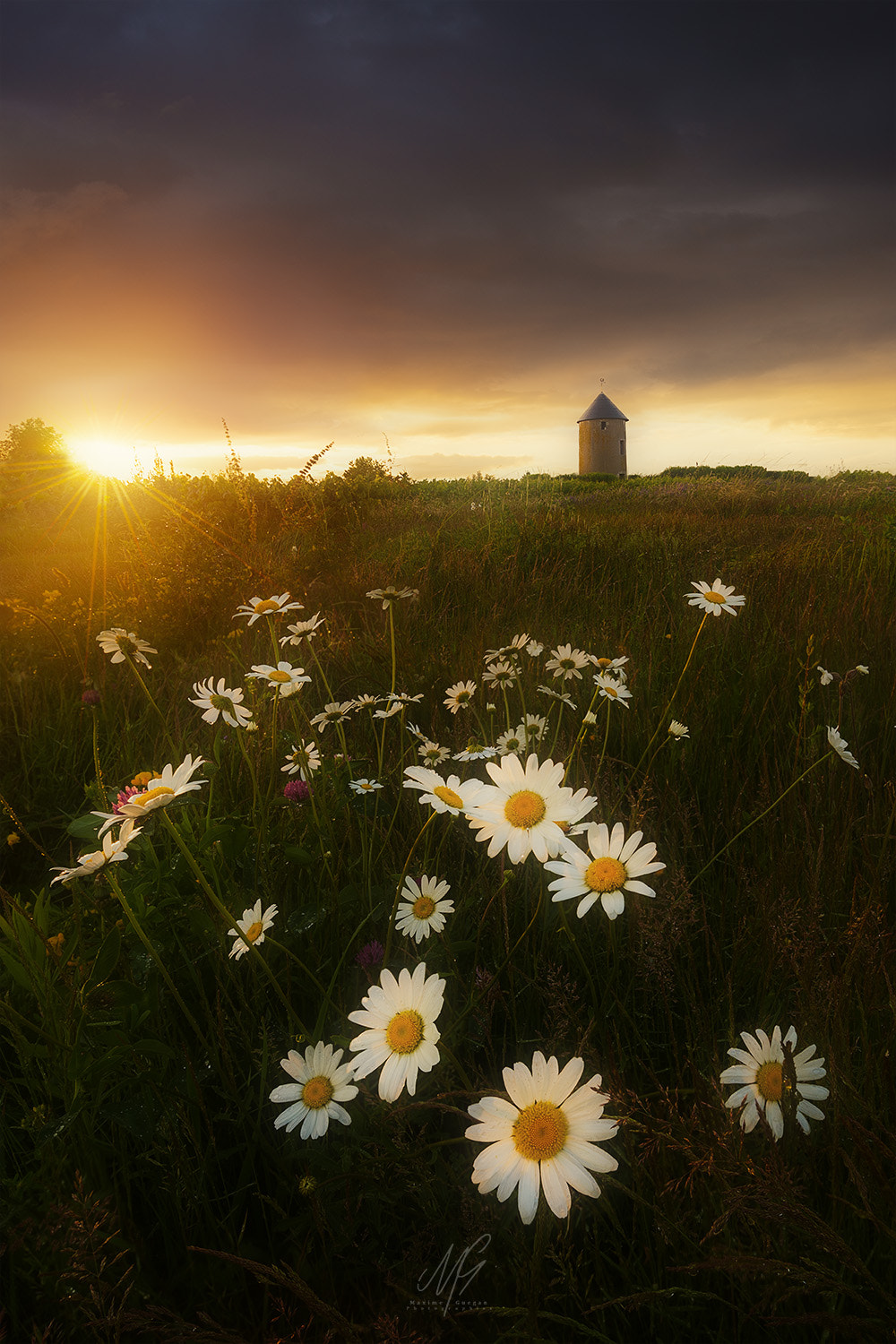 Sony a7 + Canon EF 17-40mm F4L USM sample photo. Monnières photography