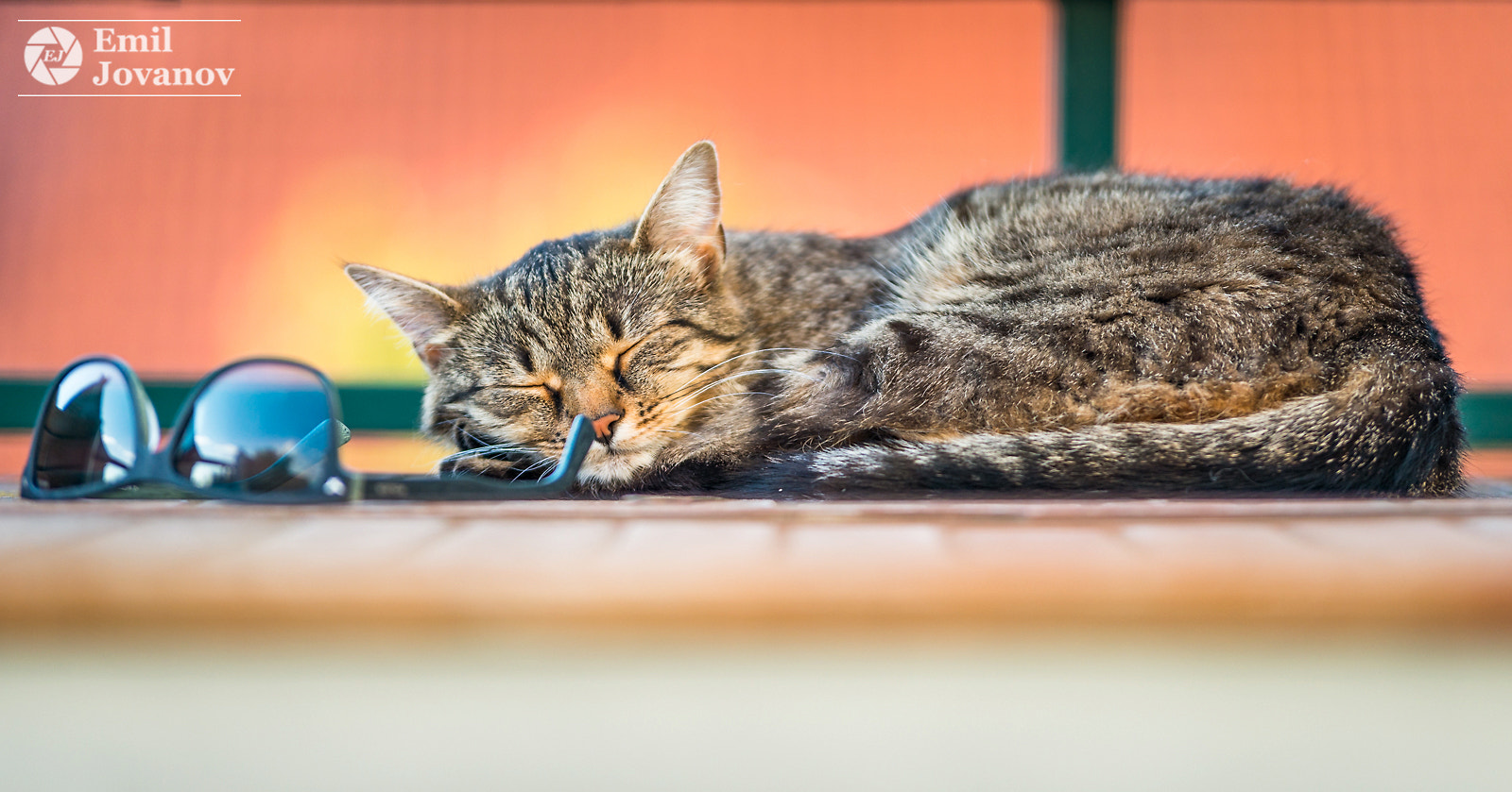 Nikon D800E sample photo. Siesta photography