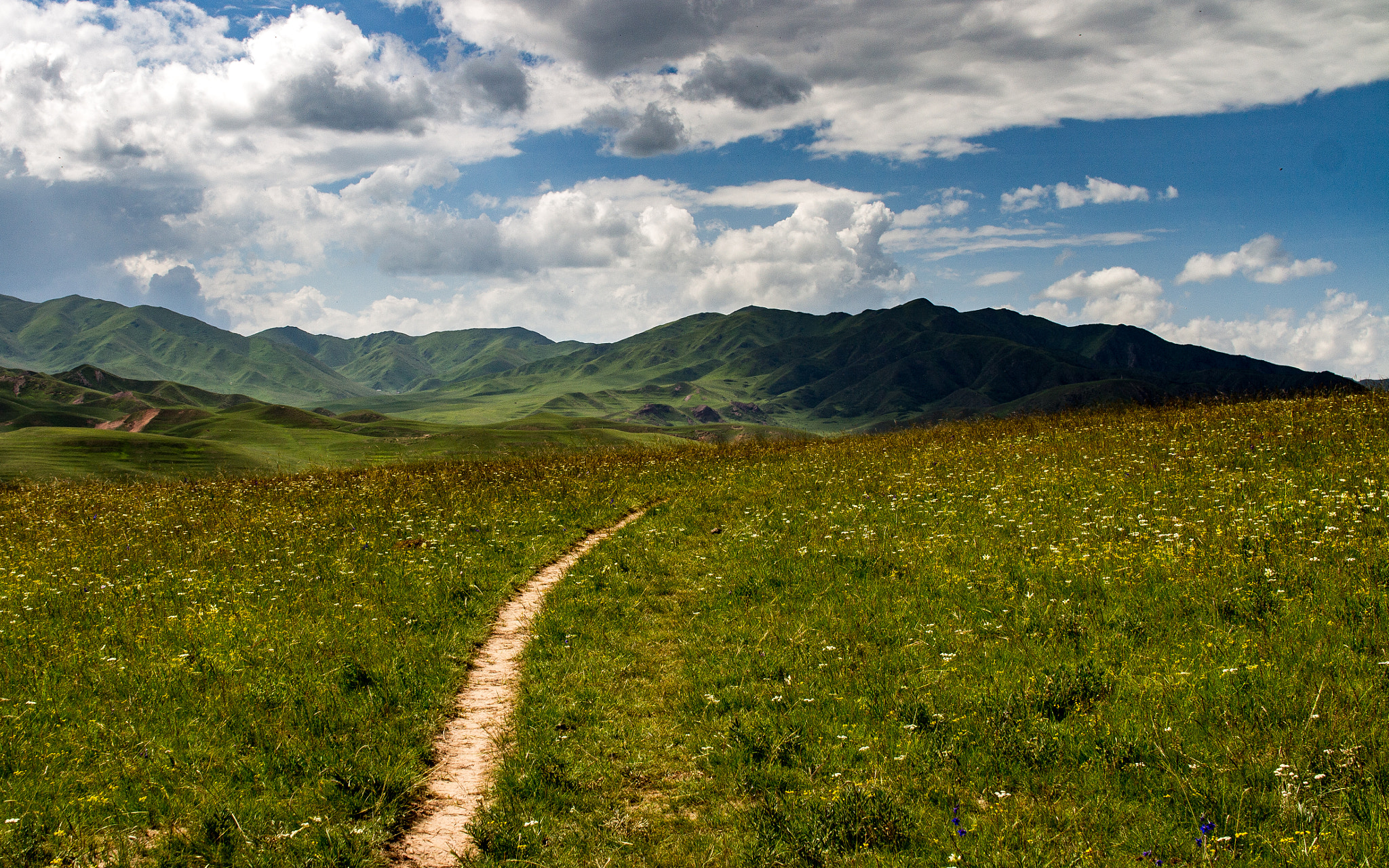 Sigma 30mm F1.4 EX DC HSM sample photo. Tibetan grasslands photography
