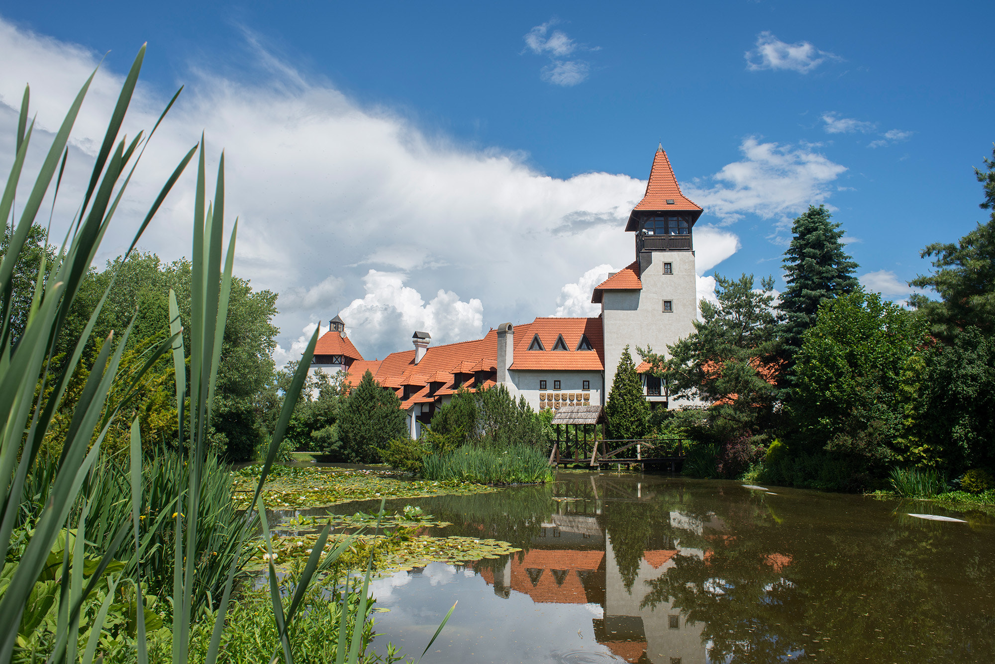 Nikon D610 + Nikon AF Nikkor 24mm F2.8D sample photo. The old new fortress photography