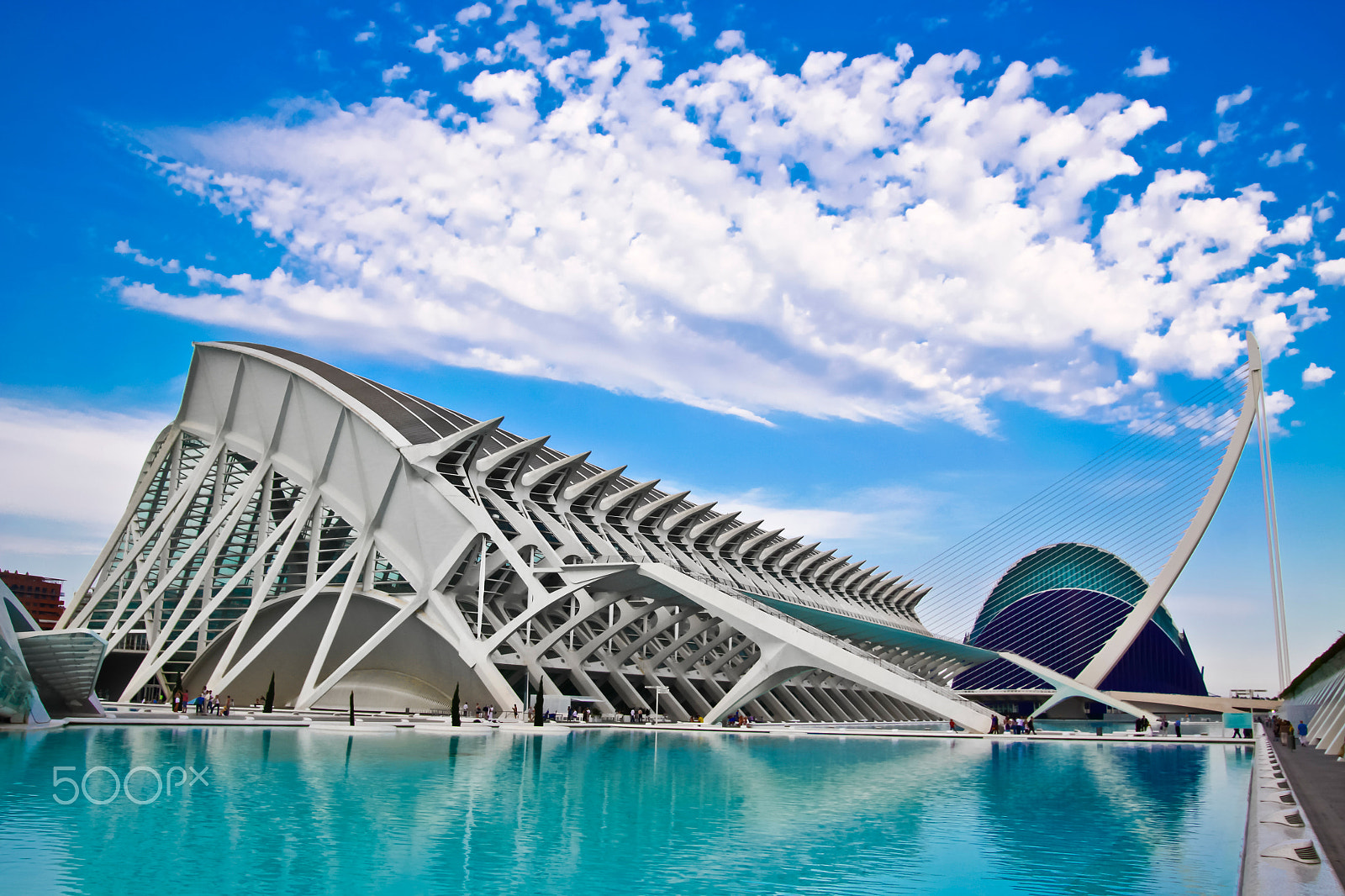 Canon EOS 50D + Sigma 18-50mm f/2.8 Macro sample photo. Valencia's city of arts and science photography