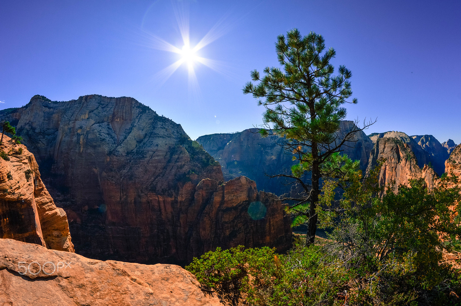 Nikon D3200 + Samyang 8mm F3.5 Aspherical IF MC Fisheye sample photo. Zion.jpg photography