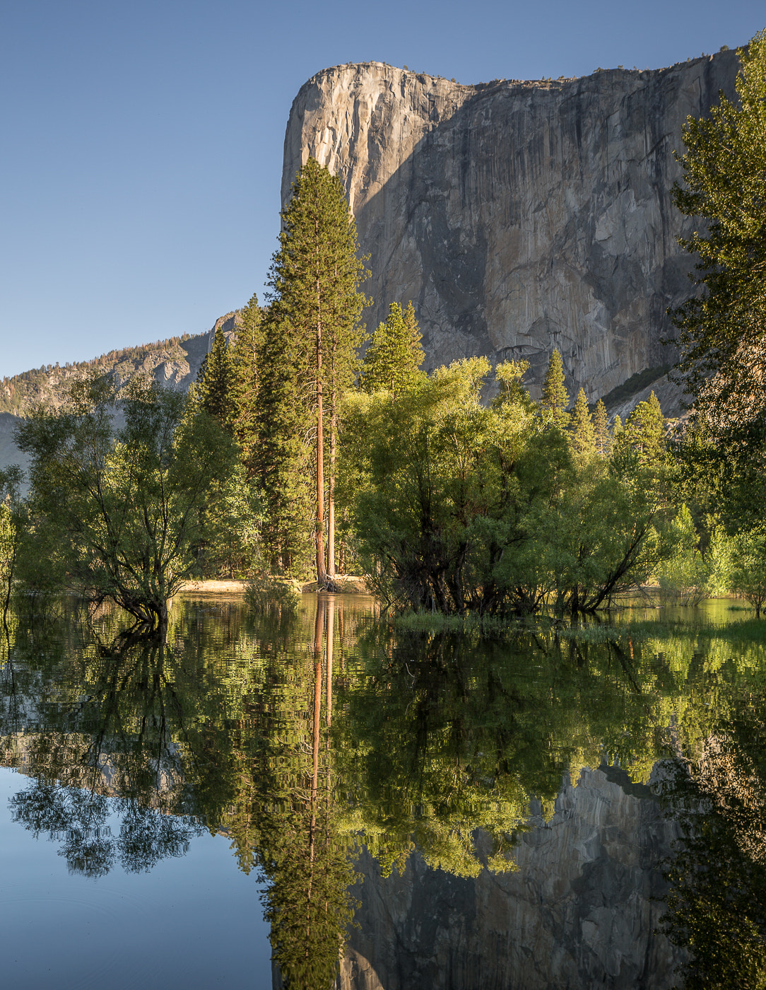 Canon EOS-1D X + Canon TS-E 24.0mm f/3.5 L II sample photo. Yosemite reflection photography